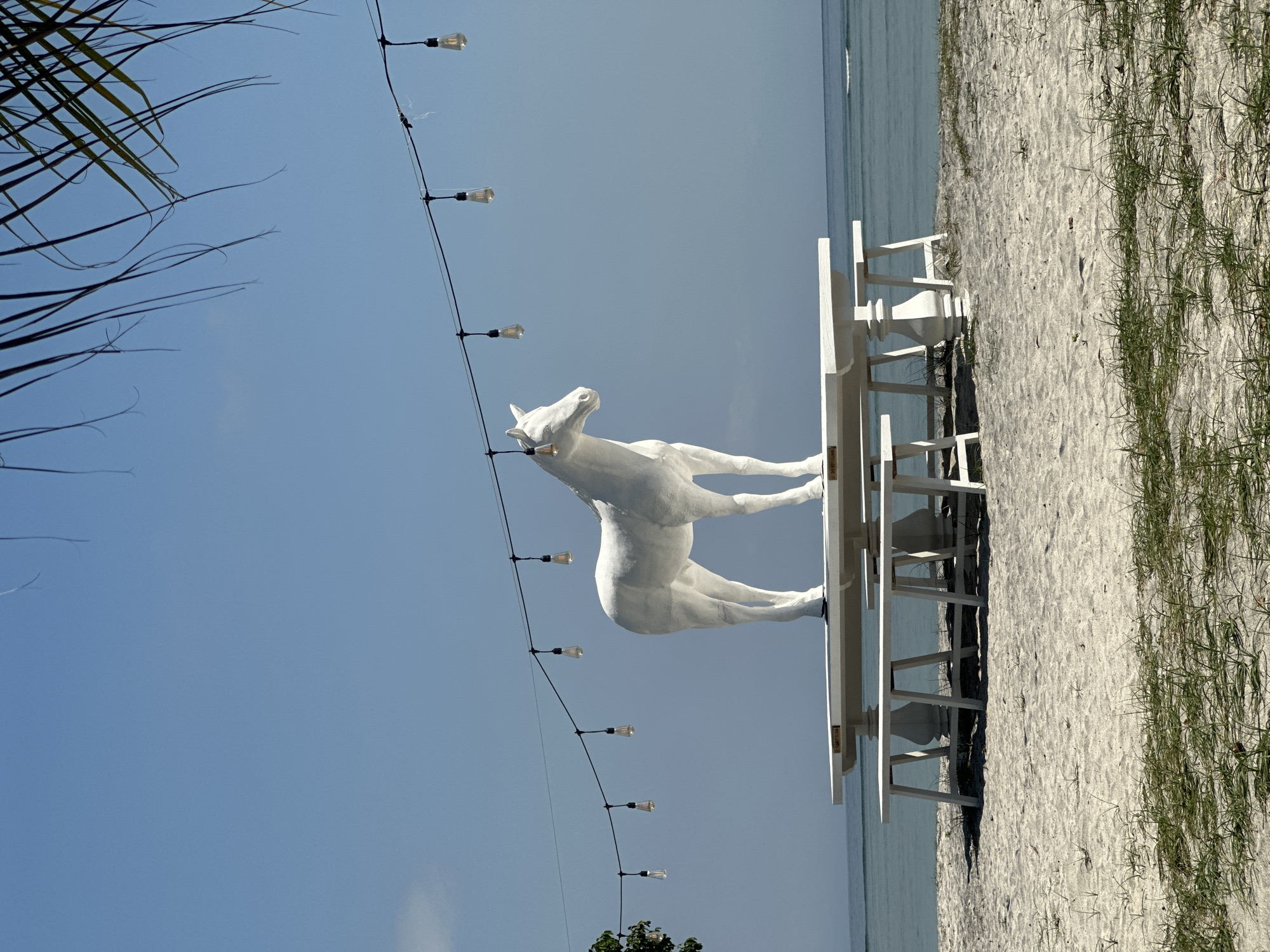 The image captures a beach scene, possibly a curated or decorated area, in an unknown city in Indonesia. The photograph is oriented sideways. A white, stylized horse statue stands atop a white structure, possibly a table or platform. A string of lights hangs diagonally across the frame, behind the statue and table. To the right of the statue, the edge of a sandy beach runs parallel to the ocean's edge. Patches of green grass grow sparsely on the sand. To the left, there are palm tree branches. The sky is clear and blue.