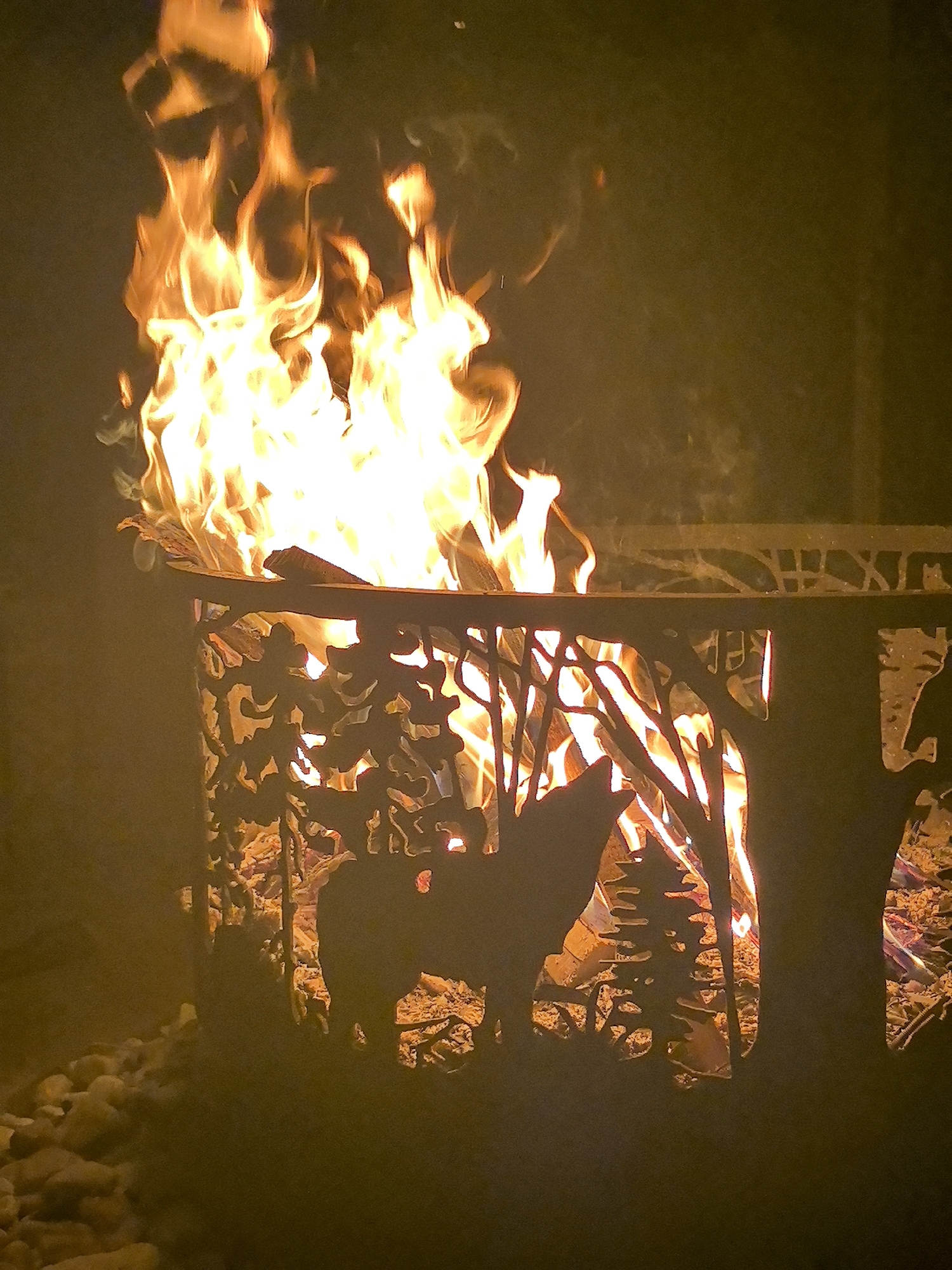 An outdoor fire pit with a metal cutout design of trees and animals burns brightly at night. The flames are a vibrant orange and yellow, illuminating the scene. The fire pit is surrounded by gravel and what appears to be rocks. The metalwork features silhouettes of trees and a wolf, common in nature-themed outdoor decor. The image was taken in Taldykorgan, Kazakhstan.
