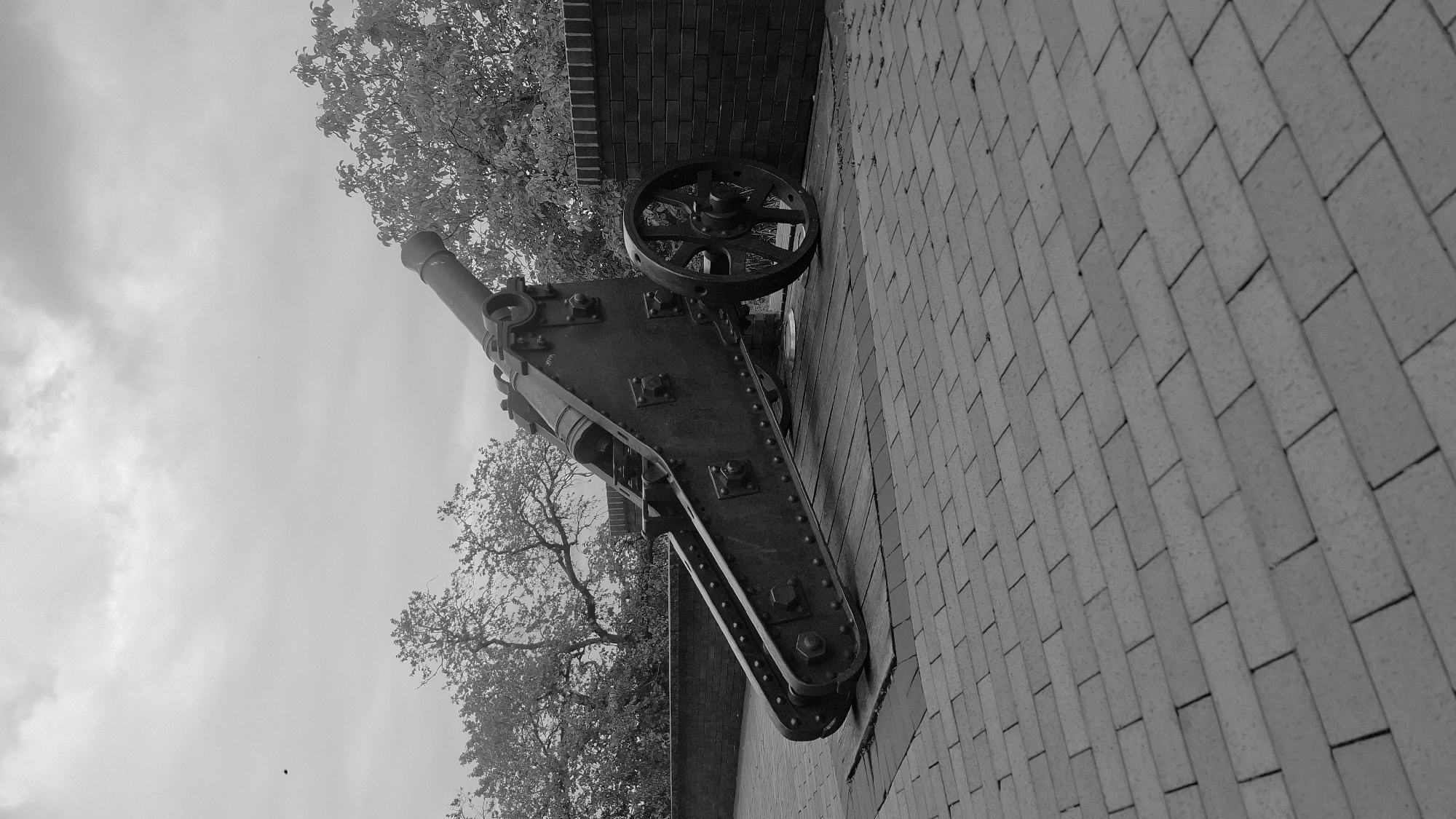 A large, dark-colored cannon is positioned on a paved courtyard, with a brick wall and trees in the background. The cannon, likely an antique or replica, rests on a wooden platform. It is angled upwards, suggesting it is ready to fire or is on display in a defensive position. The courtyard is paved with light-colored bricks laid in a basket-weave pattern. The background features a low brick wall, partially obscured by dense foliage from trees with bare branches, indicative of a cooler season. The sky is overcast with a muted, grayish tone. A single bird is visible in flight in the upper left quadrant of the image. The scene appears to be an outdoor historical site or museum. There are no people present in the image. The overall impression is one of historical significance and quiet stillness.