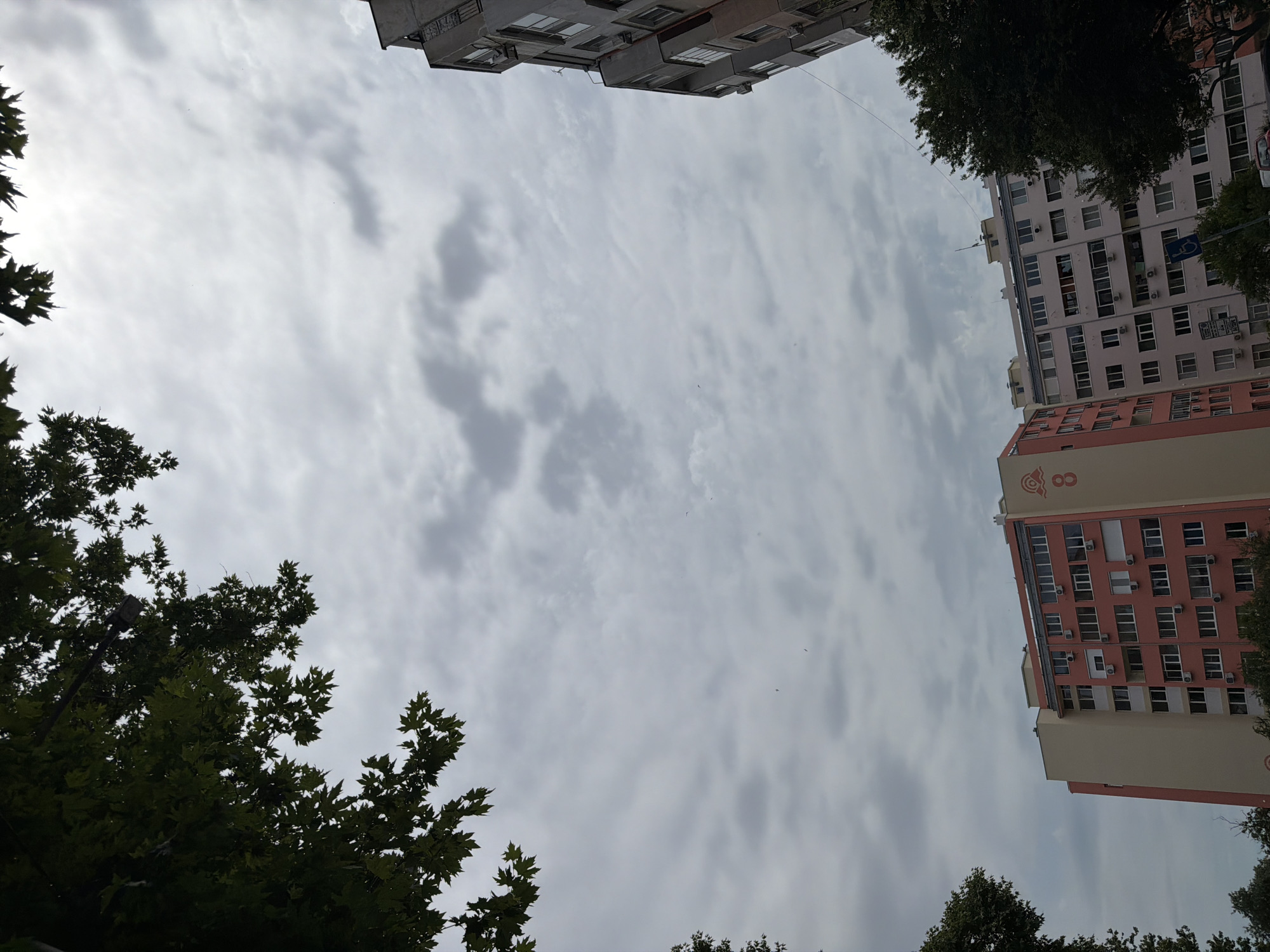 The image depicts an overcast sky above a residential area in Burgas, Bulgaria. In the foreground, lush green foliage from trees frames the top and left sides of the scene. Below the sky, several apartment buildings are visible. One prominent building on the left is a light beige structure with a pink facade adorned with a large numeral "8" and abstract red circular designs. To its right, a taller, pale grey apartment building features numerous windows and air conditioning units. Further to the right, the edge of another, darker grey apartment building is visible. The sky is filled with soft, grey clouds, with a few faint outlines of birds in flight. The overall impression is a typical urban landscape on a cloudy day in Burgas.