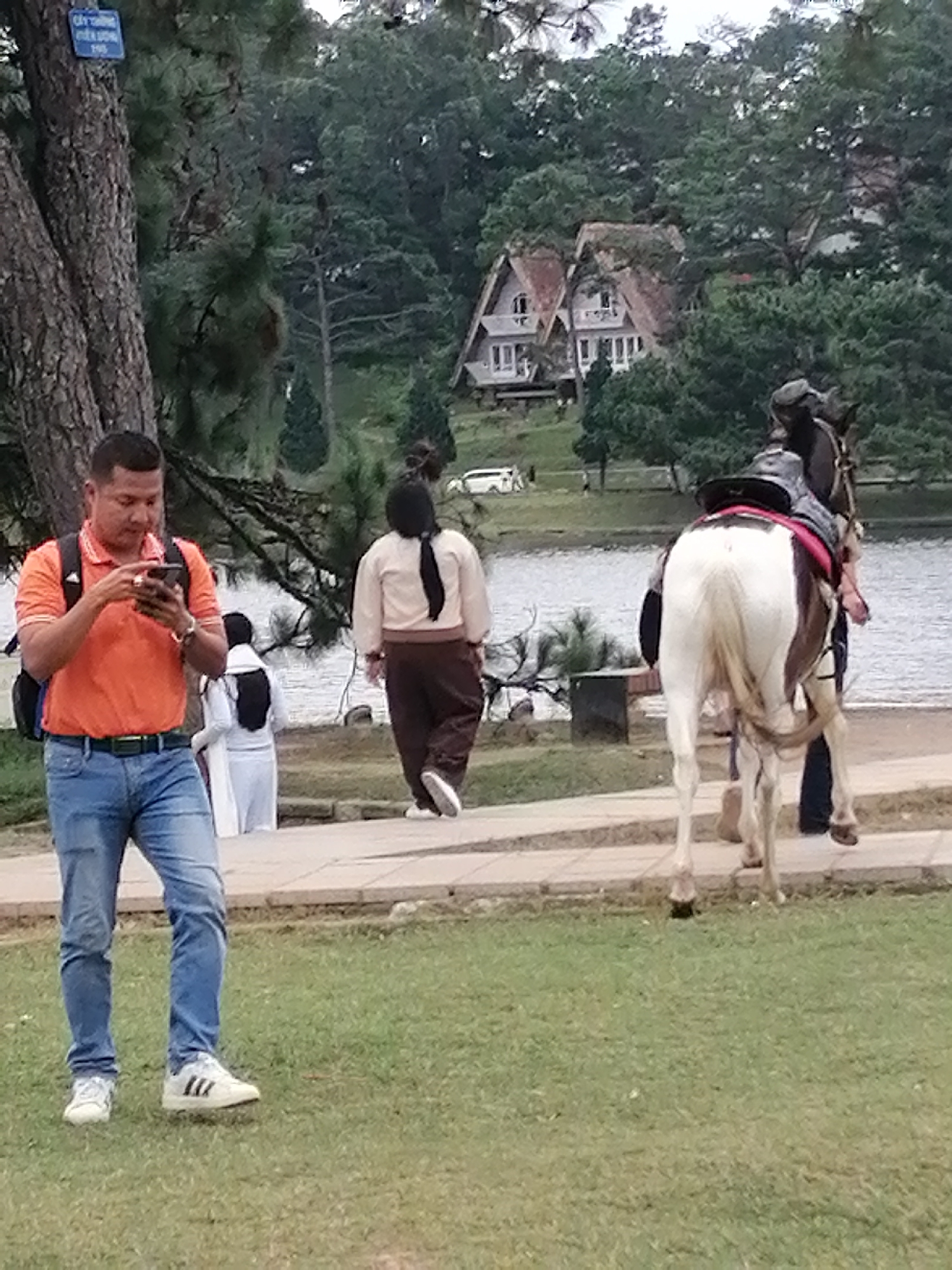 In Da Lat, Vietnam, a man in an orange polo shirt and blue jeans stands on a paved path, looking at his phone. He has a backpack on and is wearing white sneakers. Behind him, a woman in a light-colored top and brown pants walks away from the camera, her hair tied back. Further back, a person in a white hooded garment is visible near the water. In the background, a brown and white horse with a rider wearing black attire stands on the path. The scene is set by a body of water, with lush green trees and two quaint, rustic houses nestled among the foliage in the distance. The time of day appears to be daytime, with overcast skies suggesting mild weather. A blue sign with white text is affixed to a tree trunk on the left side of the image.