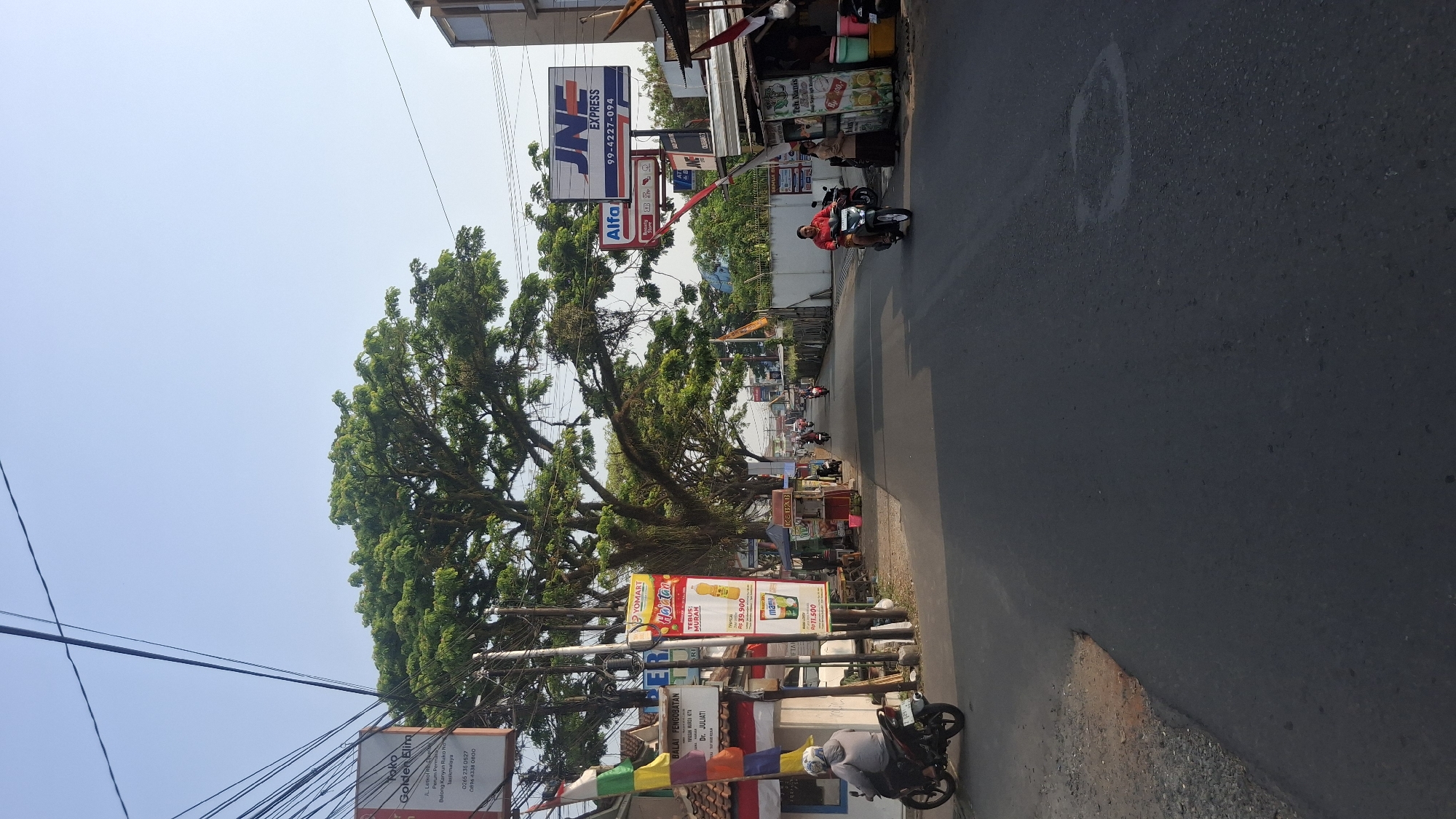The image depicts a street scene in Tasikmalaya, Indonesia, under a clear sky. A wide asphalt road stretches into the distance, flanked by a mature tree with extensive branches on the left and buildings and market stalls on the right. Several individuals are present, primarily riding motorcycles. On the left side of the road, a person wearing a grey jacket is riding a motorcycle, facing away from the camera. Further down, a market stall displays various items. On the right side, a woman in a red shirt is riding a motorcycle towards the camera, and two other individuals are visible near another market stall. Prominent signage includes "JNE EXPRESS" and "Alfa" on the right, and various advertisements for local businesses on the left, such as "Toko Golden Elm" and "BALAI PENGOBATAN". Indonesian flags are also visible on the left. The environment appears to be a busy urban street with a mix of commercial activity and everyday life.
