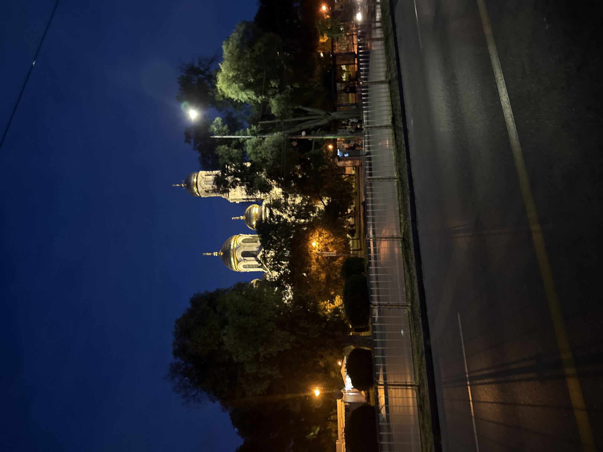 At night, a large, illuminated cathedral with golden domes stands behind trees and a street. The sky is a deep blue. In the foreground, a wet asphalt road reflects streetlights. A metal fence separates the road from a sidewalk area with a bus stop shelter and some people waiting. Trees with dark green foliage are scattered throughout the scene, some appearing bare. A street light illuminates the area near the cathedral. The overall impression is of a city street at dusk or night, with the prominent cathedral as the focal point.