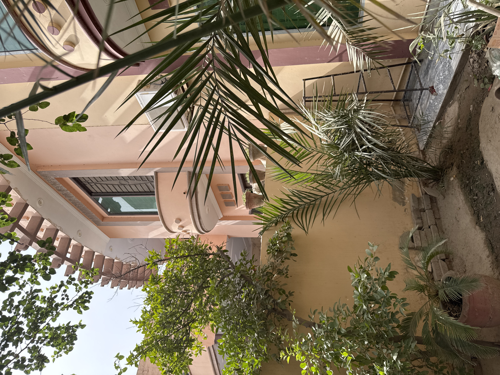 The image depicts an exterior scene in an unknown city. It shows a building facade with a cream-colored exterior, multiple windows, and some decorative elements. Palm trees and other foliage are partially obscuring the view of the building. A small staircase with a metal railing is visible on the right side of the frame. The photo is taken from a low angle, looking upwards. The sky is visible in the lower left corner.