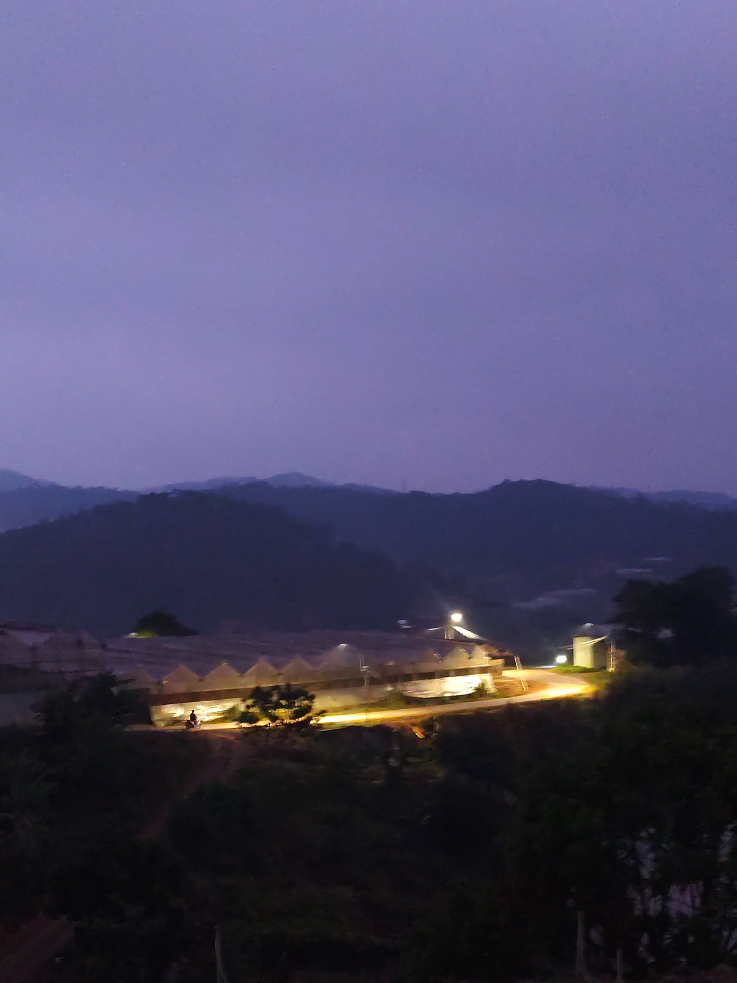 The image shows a nighttime scene in Lạc Dương, Vietnam, featuring a series of greenhouses brightly illuminated along a road in a mountainous area. The sky is a dark purple, with layered, hazy mountains in the middle distance. A figure appears to be riding a motorcycle along the lit road in front of the greenhouses. Dark green foliage obscures the foreground. A smaller, separate building or structure with its own light source is visible near the end of the row of greenhouses.
