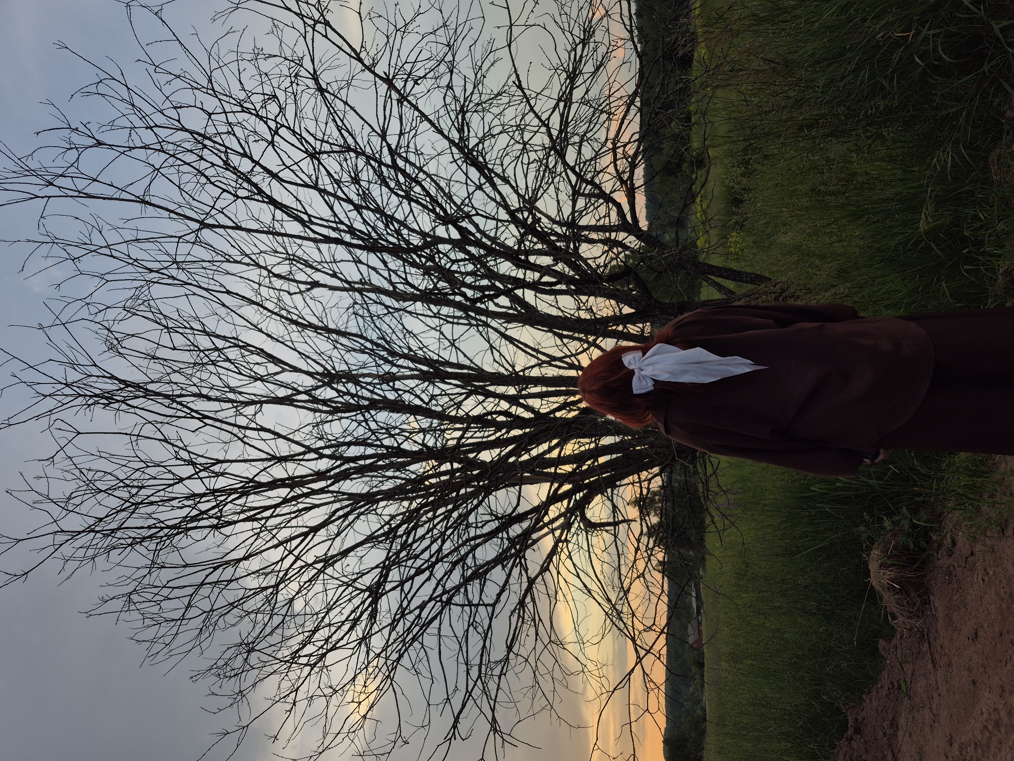 In Doinaya, Russia, an individual with auburn hair tied with a white ribbon stands with their back to the camera in a field of tall grass. They wear a brown, loose-fitting outfit. In the background, a large, bare tree dominates the scene with its intricate network of branches against a cloudy sky. The sunset casts a warm orange glow on the horizon, visible through the tree's branches. The ground in front of the person is a dirt path.