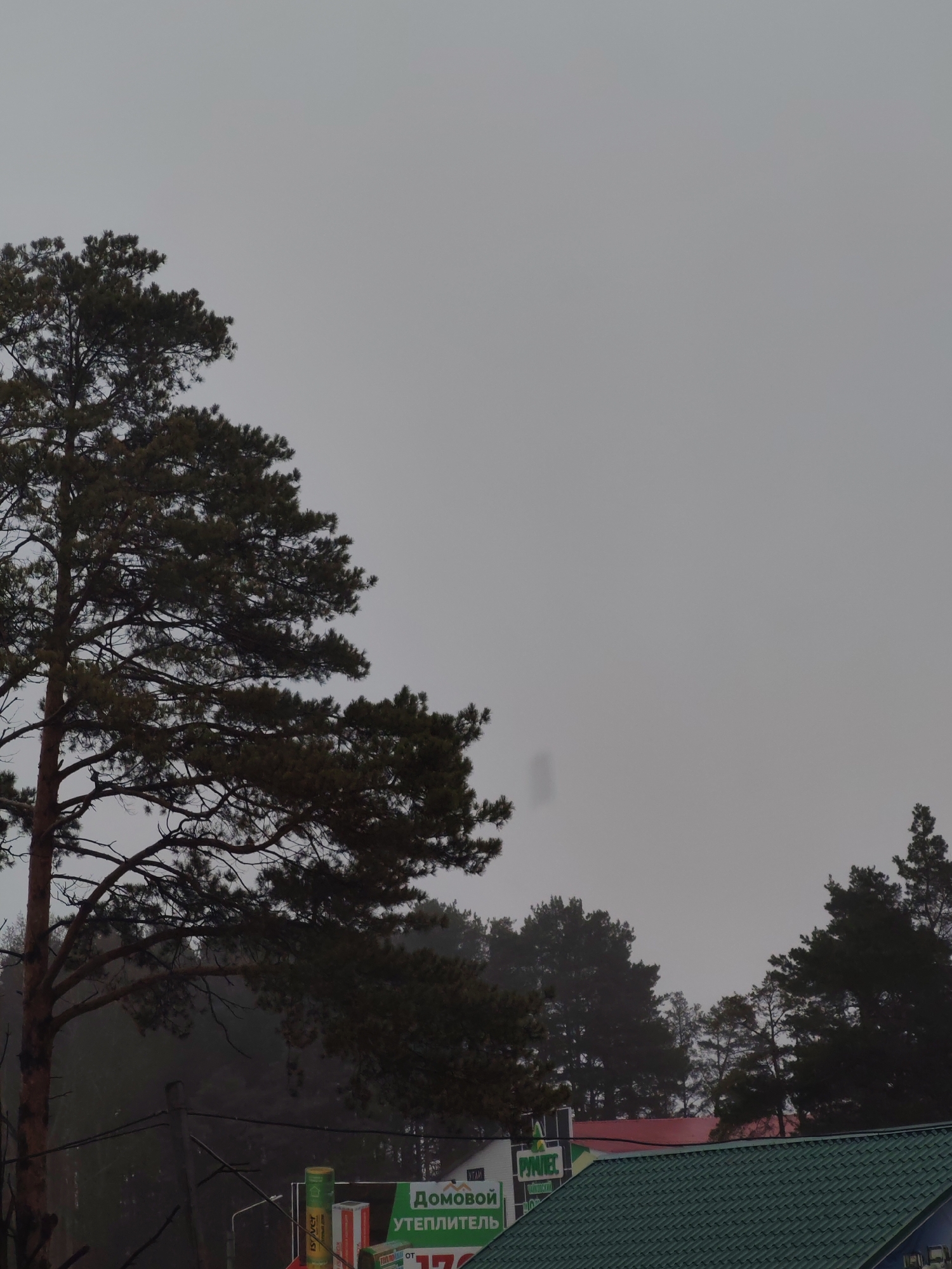 The image captures an overcast and hazy daytime scene in Chaikovsky, Russia, dominated by large pine trees and a muted gray sky. A prominent, tall pine tree stands on the left, its dark green needles and robust branches extending throughout the frame. More pine trees are visible in the background and on the right, some partially obscured by what appears to be fog or thick haze.
In the lower section of the image, signs of human activity and structures are present. A dark green corrugated metal roof is visible in the bottom right, with a red roof partially peeking out behind it. Several power lines traverse the mid-ground. Below these lines, commercial signage can be seen, featuring the Russian text "ДОМОВОЙ УТЕПЛИТЕЛЬ" (Home Insulation) and "РУЛЕВ". A green cylindrical object and some red and white packages are also part of a display or advertisement.
The overall atmosphere is quiet and somewhat somber due to the heavy gray sky and limited visibility. No people or active events are captured; the scene is static, showcasing a blend of natural landscape and commercial elements on a dull, cloudy day.