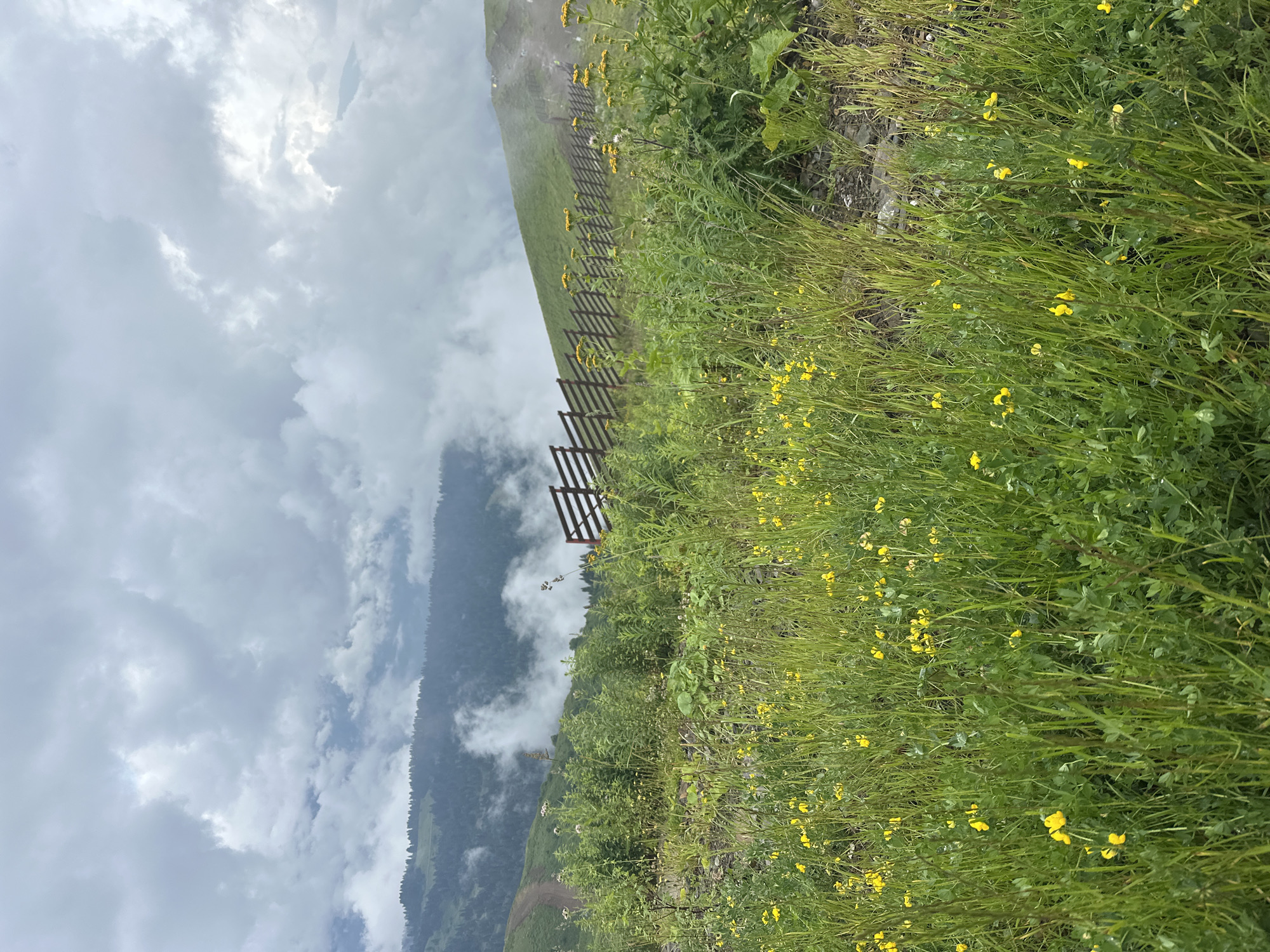 The image depicts a cloudy day in a mountainous region, likely near Estosadok, Russia. In the foreground, a lush green meadow is dotted with small yellow wildflowers. A wooden fence runs along a gentle slope in the middle ground, separating the meadow from a grassy hillside. Further in the background, mist and clouds obscure the forested mountains, creating a sense of depth and atmosphere. A dirt path is visible on the right side of the hillside. There are no people or animals present in the scene. The overall impression is one of natural beauty and tranquility under a moody sky.