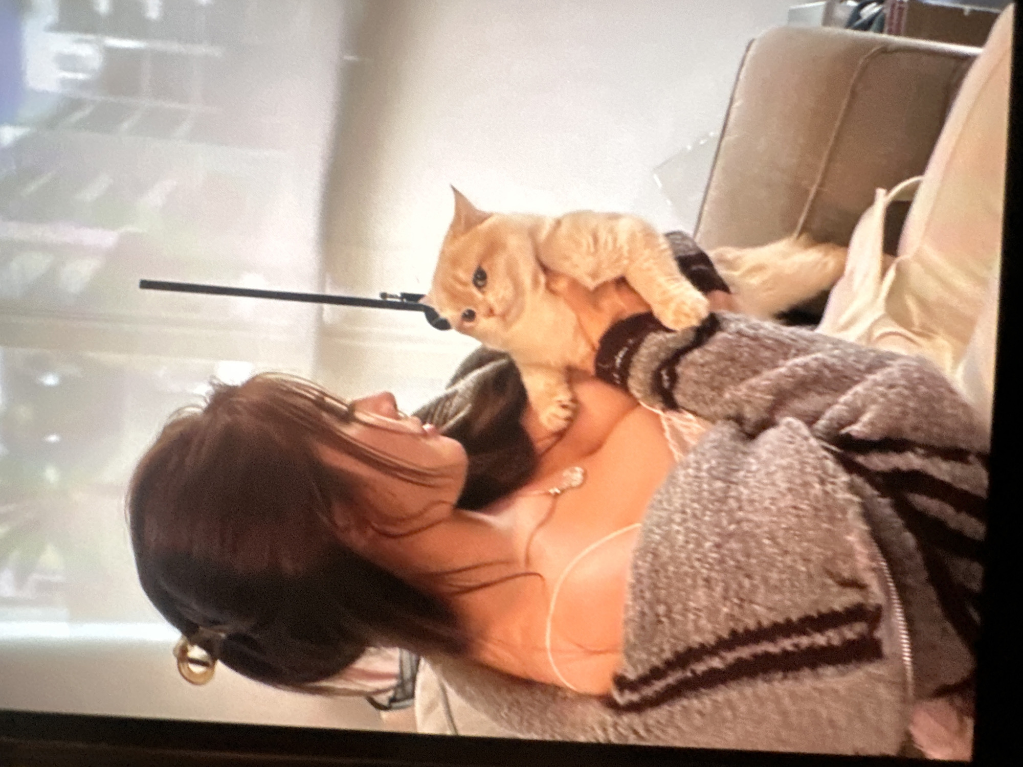 A young woman with dark hair pulled back with a hair clip is holding an orange cat. She is wearing a grey and brown striped sweater and a white top underneath. The cat is looking to its left. The woman is facing to her right. The background appears to be an indoor setting with a couch and a blurred reflection on a wall. It is not possible to determine the location in the city of Востец Снт, Russia from the image provided.