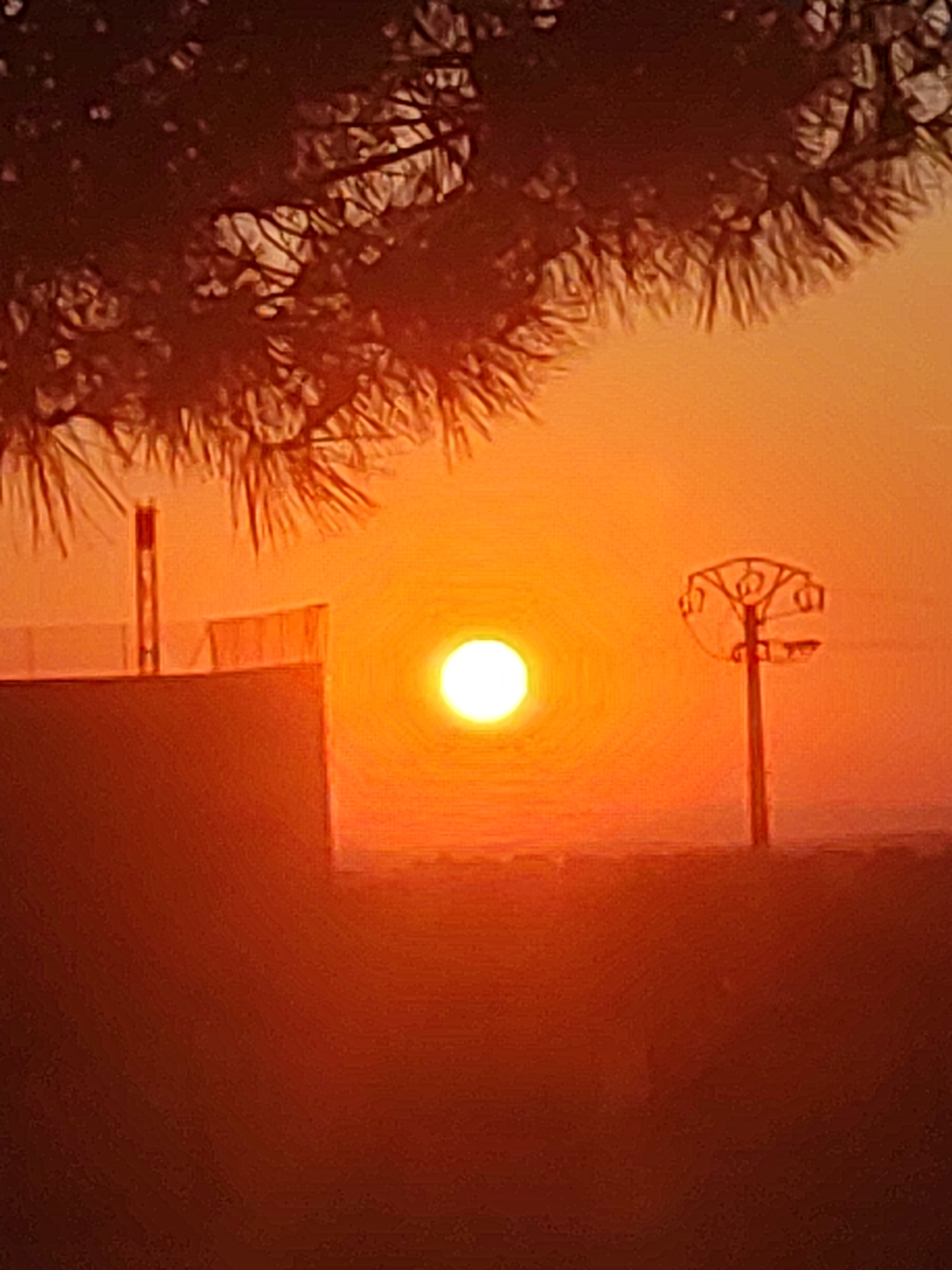 The image depicts a sunset in Sobradillo, Spain. The sun, a bright, luminous orb, is positioned in the center of the frame, casting a warm orange glow across the sky and landscape. In the foreground, the silhouette of a tree with needle-like leaves partially obscures the upper portion of the scene. To the left, the top of a building with a railing and a vertical structure, possibly a chimney or a support, is visible. To the right, a lamppost with a distinctive, multi-branched top stands against the colorful sky. The lower part of the image shows a dark, indistinct foreground, likely the ground or another structure, bathed in the warm hues of the setting sun. The overall scene conveys a peaceful, serene atmosphere of a rural sunset.