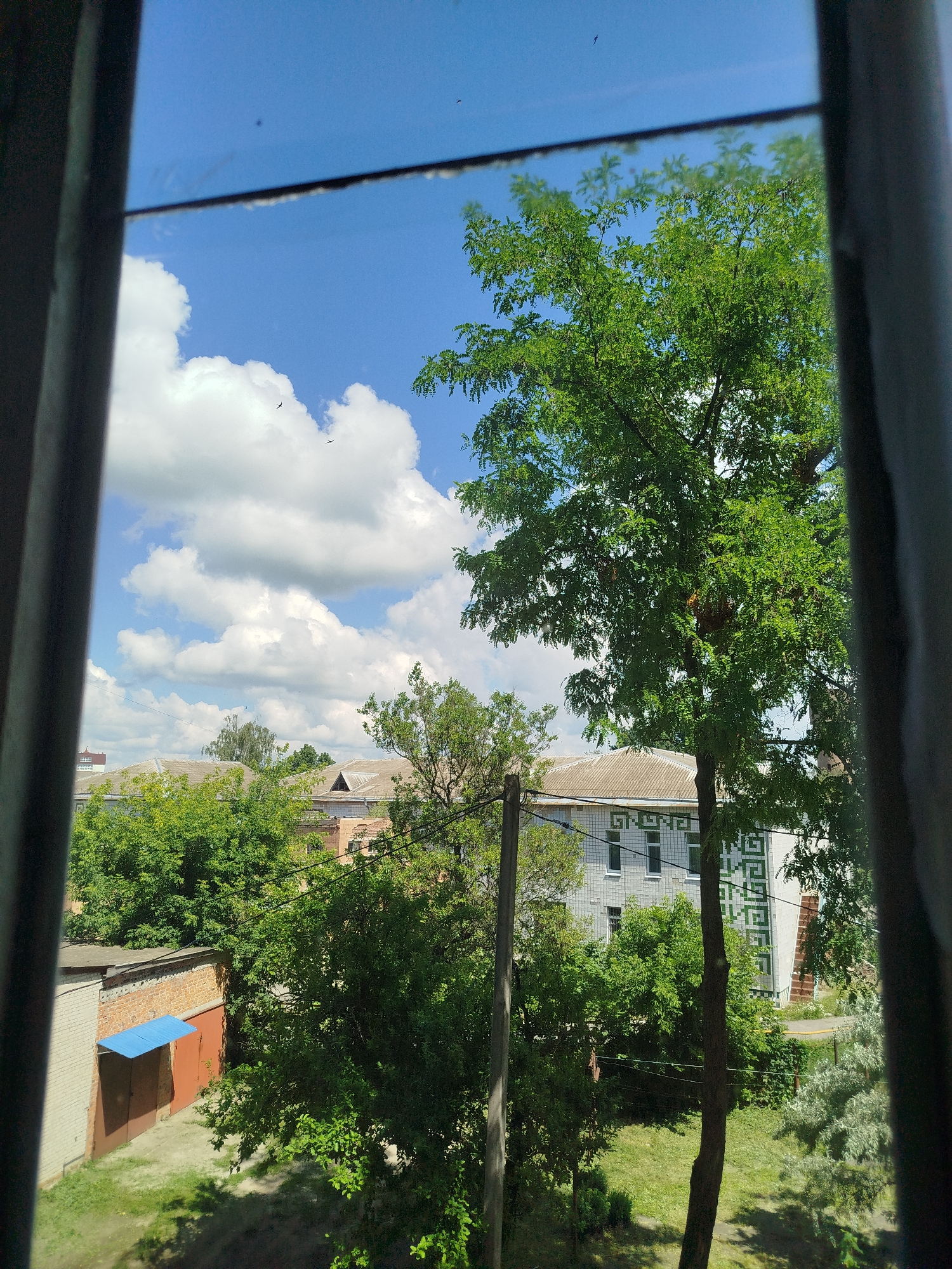 The image captures a view through a window frame, looking out onto a courtyard area in the city of Romny, Ukraine. In the foreground, dark, vertical window frame elements obscure the sides of the scene. The sky above is a vibrant blue, dotted with fluffy white cumulus clouds. Several small, dark shapes, likely birds, are visible in flight.
A large, leafy green tree dominates the right side of the frame, its branches reaching towards the sky. In the mid-ground, several buildings are visible. To the left, there is a brick building with a corrugated metal roof, featuring two brown garage doors with a small, light blue awning above them. Adjacent to this is a lighter-colored brick wall. Further back, several other structures with tiled roofs are present, interspersed with lush green trees. One building, visible in the center-right, has a light-colored facade with a distinctive geometric green pattern and multiple windows. A single wooden utility pole stands in the middle of the scene. The ground is covered with grass and some patchy dirt. The overall impression is a sunny, daytime scene in a semi-urban or suburban environment.