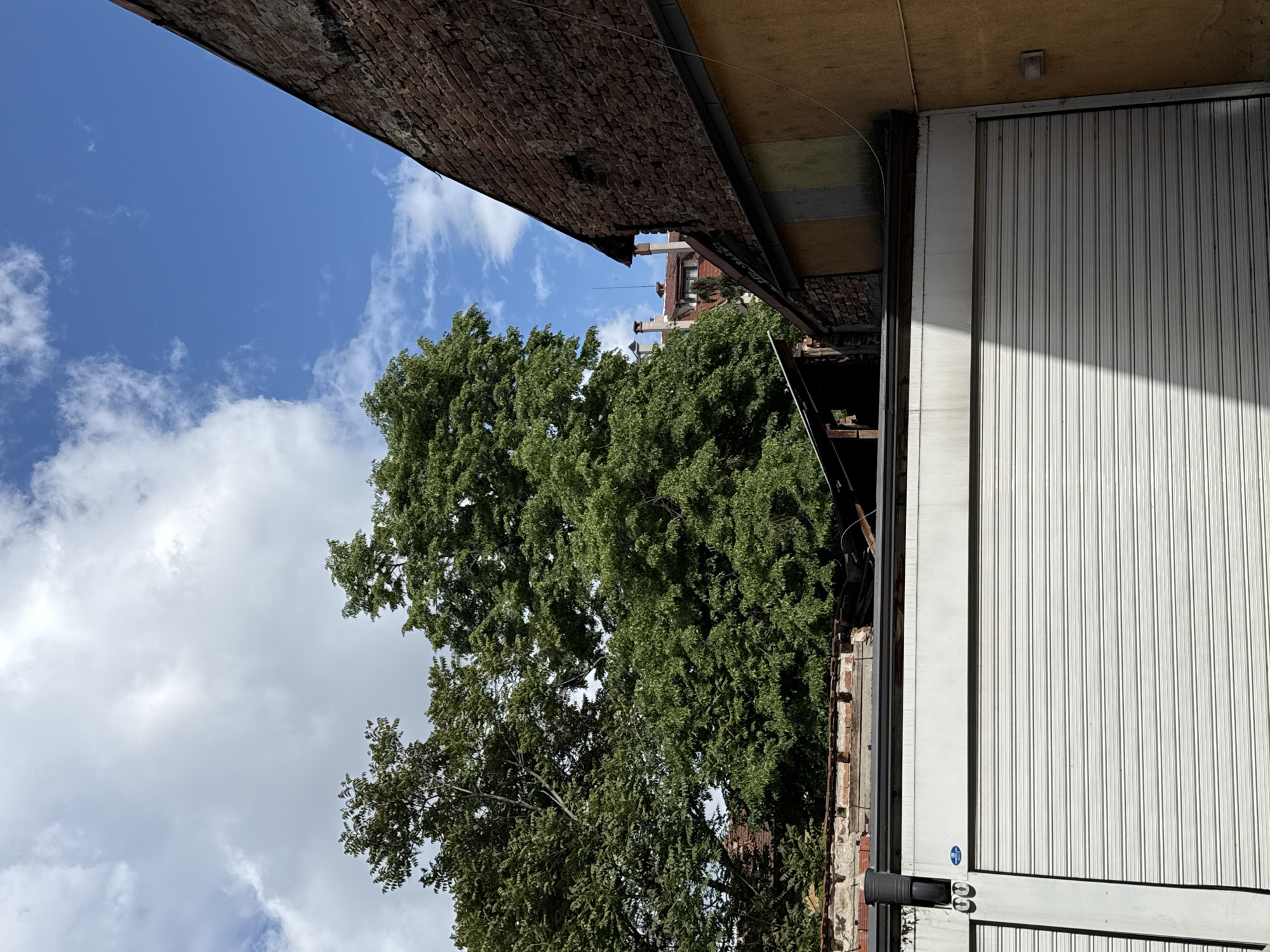 The image depicts an alley in Sofia, Bulgaria, showcasing a combination of natural and urban elements. On the left, a brick building rises, contrasting with the adjacent sky featuring white clouds against a blue background. A large tree with lush green foliage partially obscures the view of the sky and the buildings. To the right of the frame stands a white corrugated metal door, typical of a commercial building. The composition of the image provides a unique perspective, looking upwards from a low vantage point within the narrow alleyway.