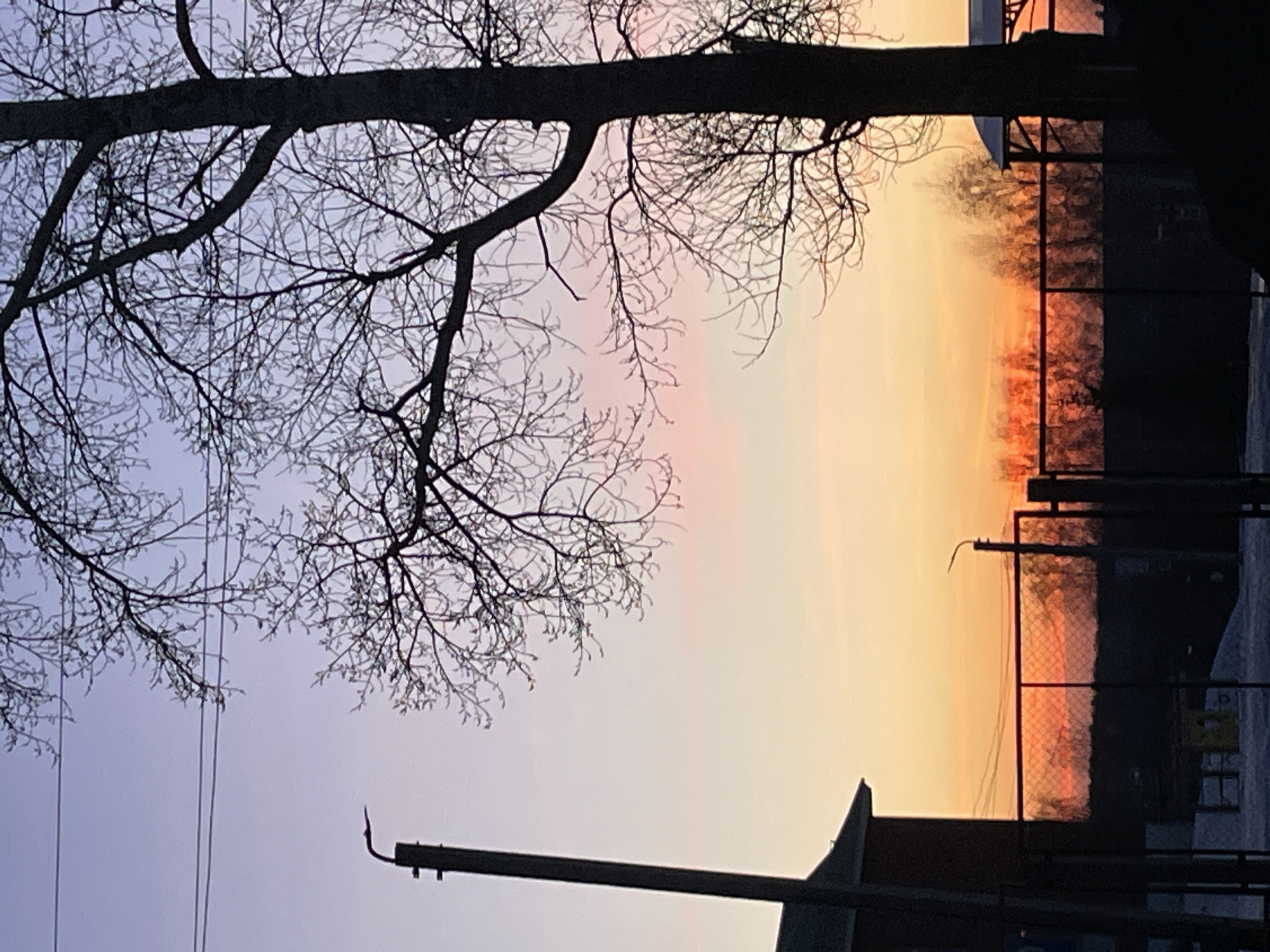 A horizontally oriented image reveals a cityscape at sunset. In the upper part of the frame, a dark silhouette of a bare tree branch stretches across the scene, obscuring the sky. The sky itself is a gradient of color, transitioning from a pale lavender in the lower left to shades of orange and pink towards the center and upper right. In the middle ground, a fence appears as a dark, vertical line against the sky. Below the fence, the tops of buildings are visible in silhouette. Power lines stretch across the lower left portion of the sky. The location is Фоки, Russia.