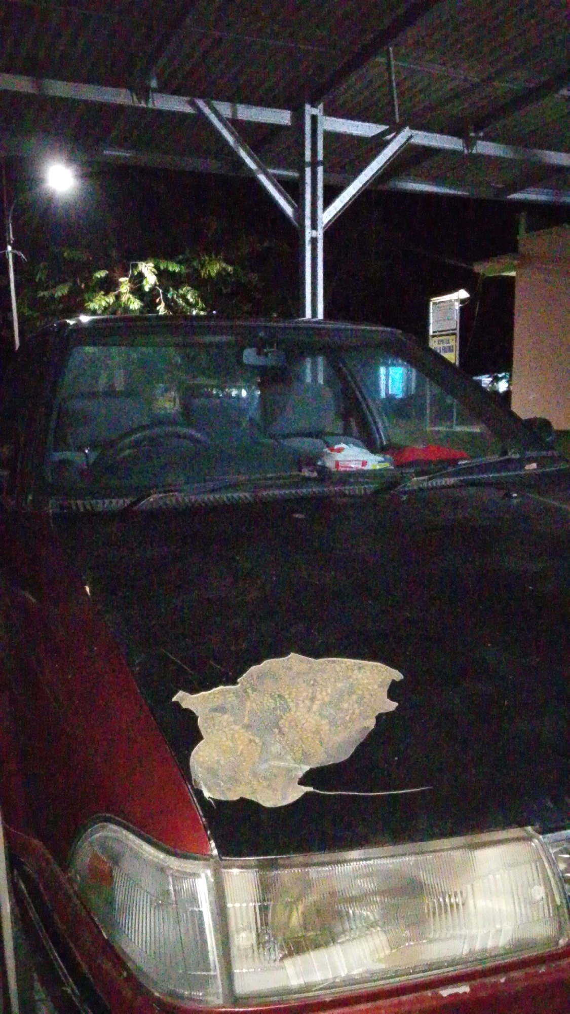 The image depicts the hood and windshield of a dark-colored car parked under a covered structure, likely a carport or garage. The car's paint on the hood is significantly worn and peeling in a large, irregular patch. The windshield shows reflections and some items on the dashboard, including what appears to be a red and white object and a red cloth. The environment is dimly lit, with a bright light source visible to the left, illuminating some foliage and structural beams of the cover overhead. In the background, a sign with text is partially visible. The location is identified as Cintaratu, Indonesia.