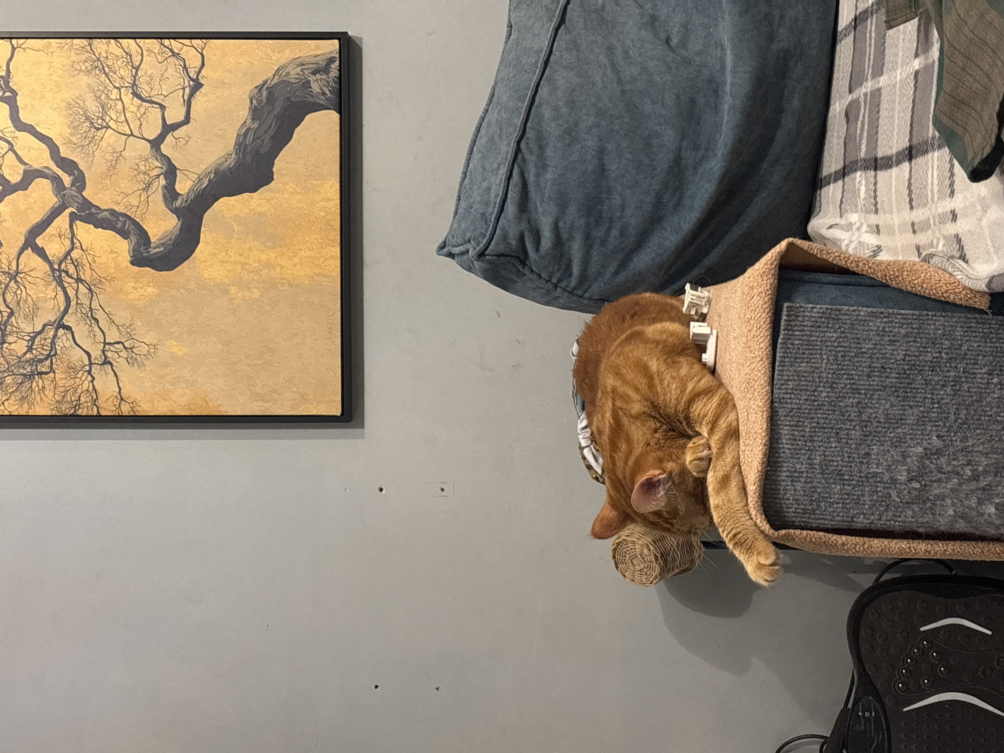 An orange tabby cat is sleeping curled up on a small structure next to a large blue beanbag chair. The cat is on its side, with its head tucked under its body and its paws extended forward. A ball of yarn is positioned behind the cat's head. In the background, a painting of a stylized tree with golden hues hangs on a gray wall. The scene appears to be indoors, possibly in a living room. There is no indication of the location being in Natukhayevskaya, Russia.