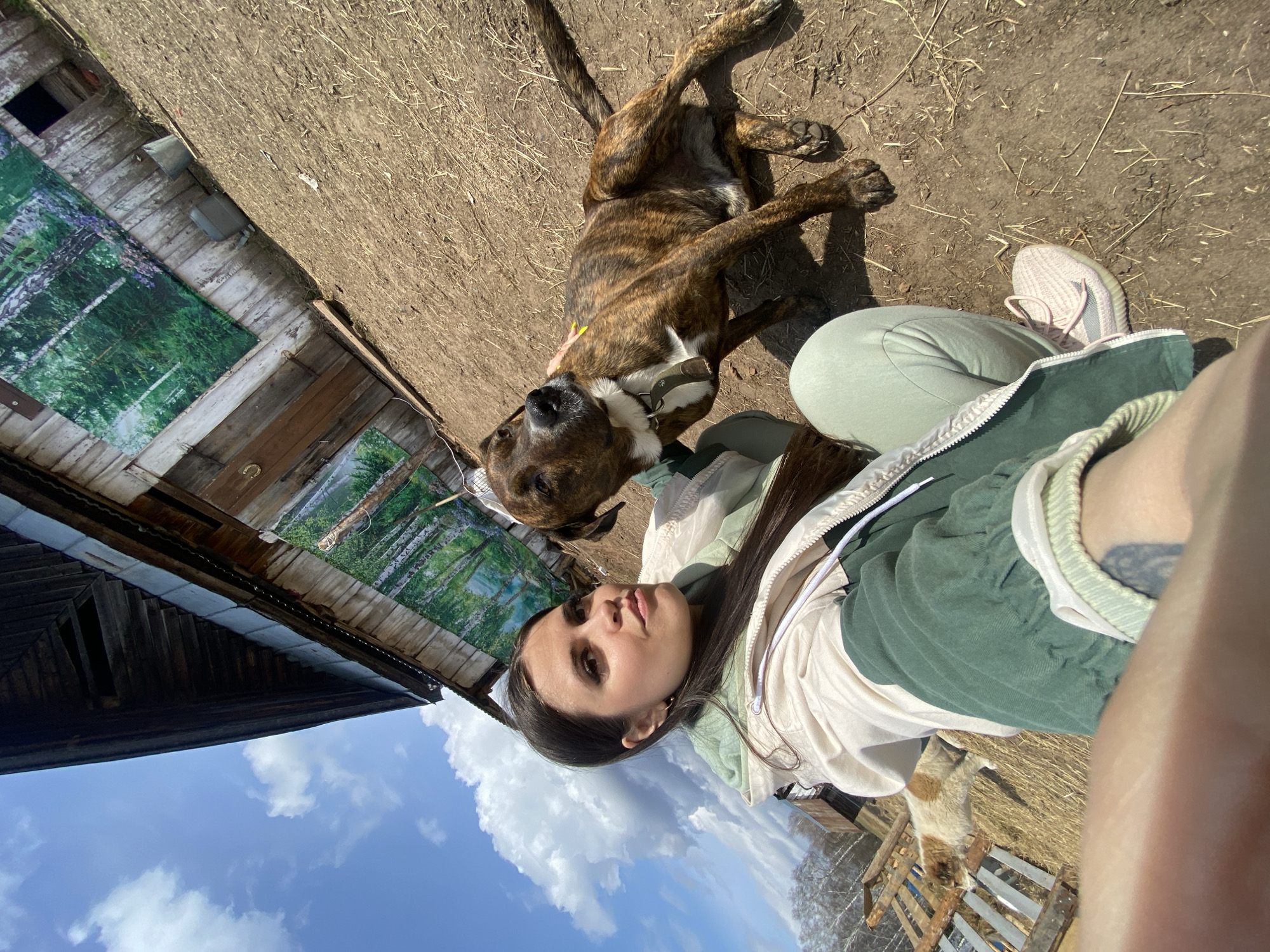 A woman with long dark hair lies on the ground with two dogs outdoors in Zhigalki, Russia. The woman wears light green pants, pink sneakers, and a white and green jacket. One dog is brindle and brown, lying on its back, and the other dog is visible in the lower right corner, appearing tan and white. The woman and dogs are on dirt and sparse grass. Behind the woman is a wooden structure with a nature scene print attached to it. Above the structure is a blue sky with white clouds.