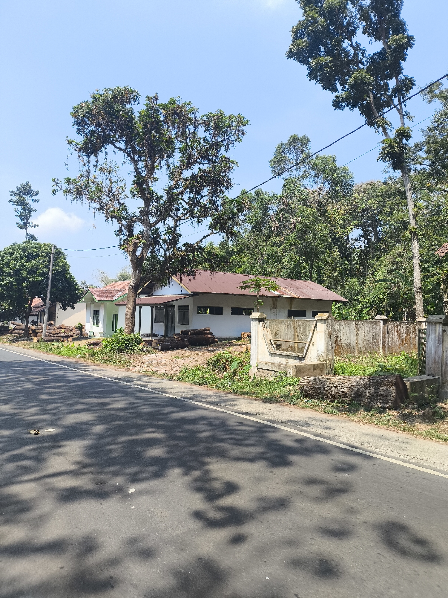 This is a photograph taken on a sunny day in the city of Senduro, Indonesia, depicting a scene along a road bordered by vegetation and a building. In the foreground, a paved road takes up the lower portion of the frame, with shadows of trees cast across its surface.
To the right of the road, a white, single-story building with a rusted, reddish-brown corrugated metal roof is visible. The building has several windows with dark frames and a covered porch area with a few open doorways. In front of the building and along the roadside, there is a low, weathered concrete wall with some decorative elements. Behind the wall, a dense area of green foliage and trees forms a backdrop, suggesting a natural or semi-forested environment. Several large logs are stacked on the ground near the roadside and by the building, possibly indicating recent construction or wood processing.
To the left of the main building, another similar structure with a white exterior and a reddish-brown roof is partially visible. Further down the road to the left, more trees and some smaller structures can be seen. The sky is clear and blue, indicating fair weather. The overall scene conveys a rural or semi-rural setting in Indonesia.