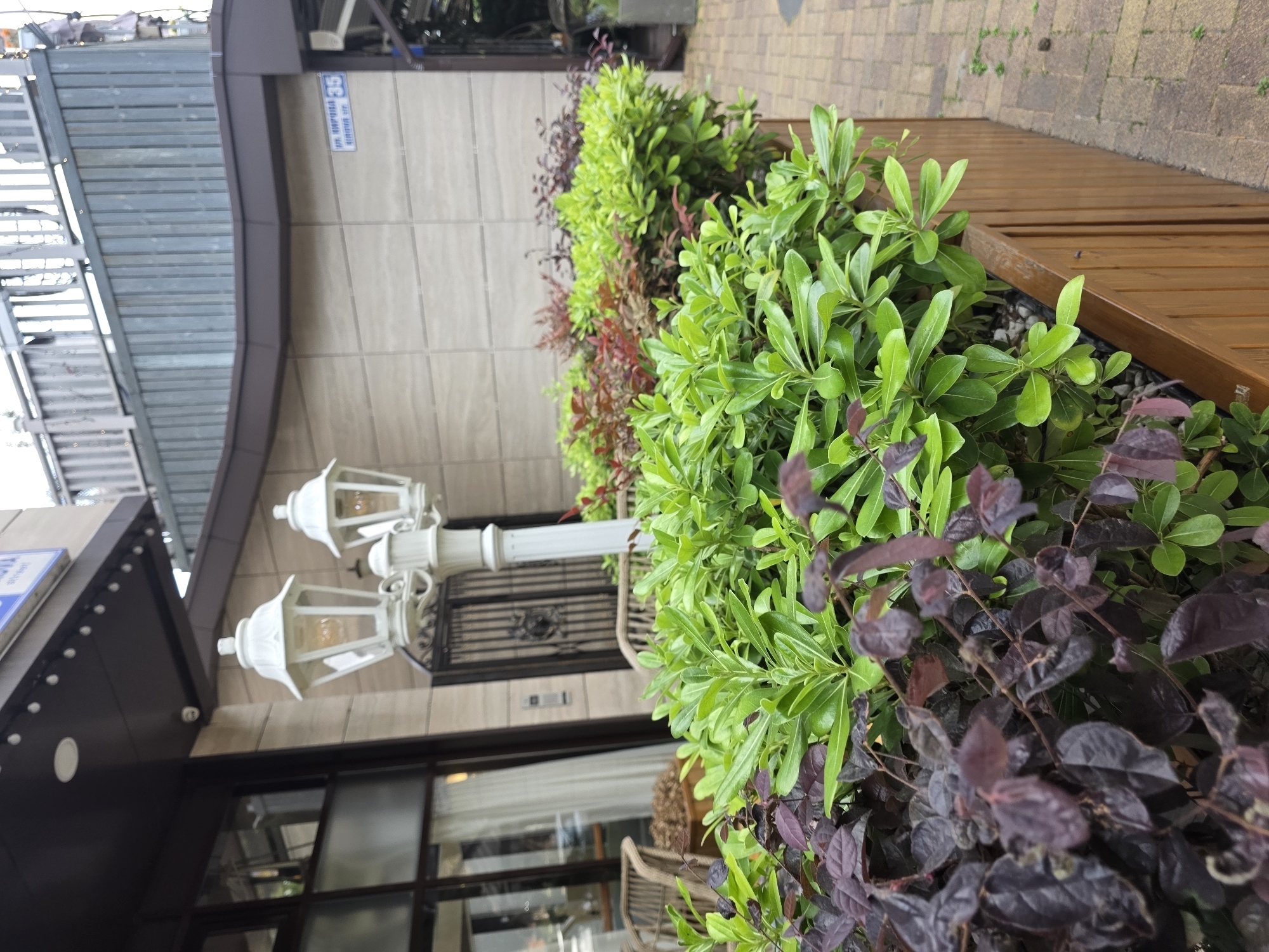 The image shows an outdoor scene in Sochi, Russia. The primary subjects are lush green and dark purple foliage from various plants, a white double-headed lamppost with ornate detailing, and a portion of a building with beige tiled walls and dark brown siding. In the foreground, the plants create a dense, layered display. The lamppost, positioned slightly off-center, appears to be made of painted metal. Behind the plants, the building facade is visible, with a metal gate and a sign with blue text on a white background. Part of a wooden slatted bench or deck is also visible to the right, as is a cobblestone path with some grass growing between the stones.
The image is likely taken during the daytime, with natural light illuminating the scene. There are no people or animals visible, and no specific activity is taking place. The setting appears to be a well-maintained outdoor space, possibly a commercial establishment or a residential area, with decorative plantings and architectural elements. The visible text on the sign is too blurry to read clearly but appears to be in a Cyrillic script, consistent with the Russian location. The overall impression is one of a pleasant, green, and well-decorated exterior.
