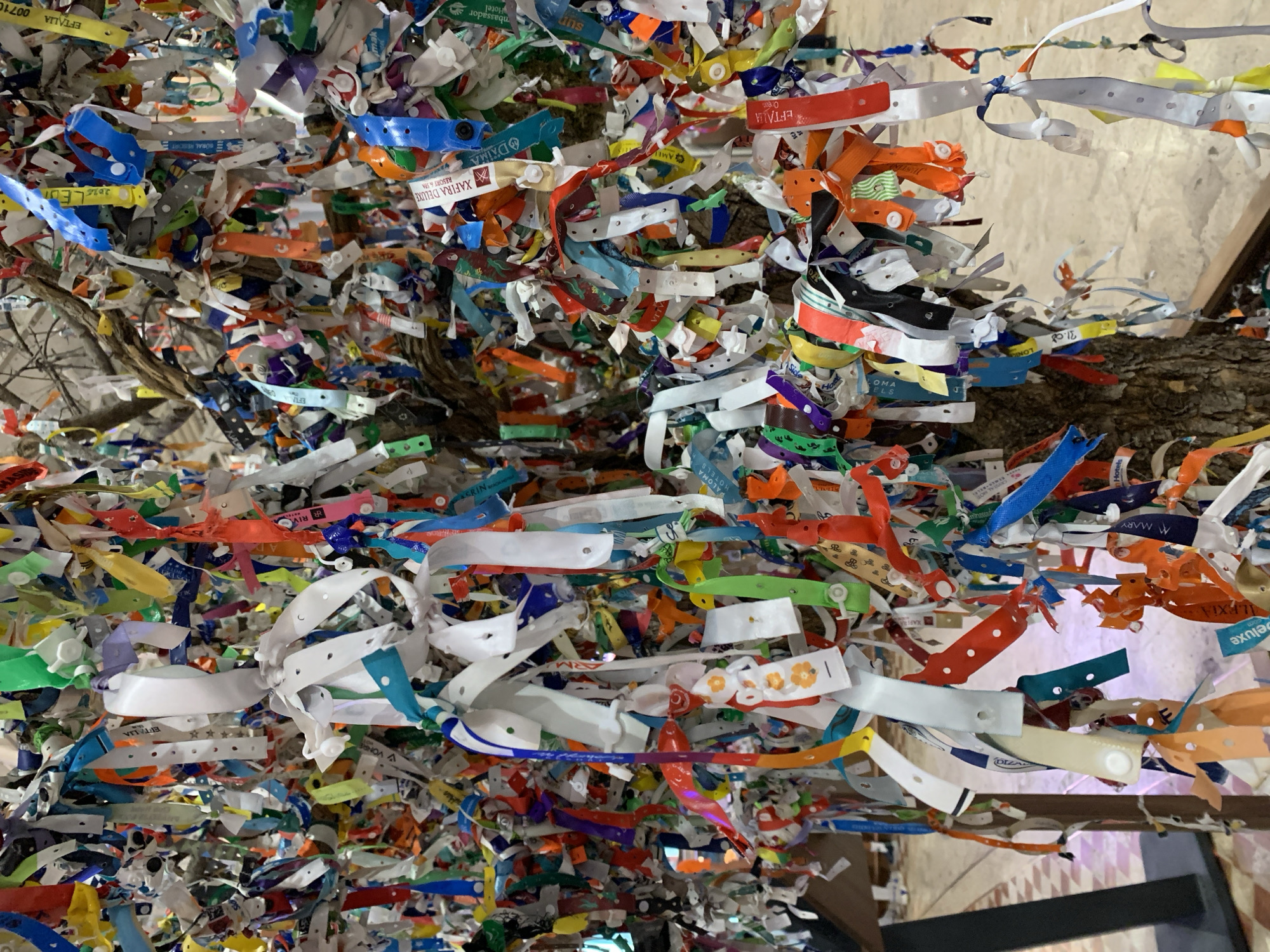 The image depicts a close-up view of a tree adorned with numerous colorful wristbands, ribbons, and fabric strips, predominantly in shades of white, blue, red, orange, and green. These are attached to the branches of the tree, creating a dense and layered visual effect. The wristbands appear to be of various types, some with printed text and logos, while others are plain. The tree itself has a textured, brown bark, and its branches are visible through the hanging ornaments. In the background, out of focus, there are hints of an indoor environment with flooring and some vertical structures that could be part of a building. The lighting suggests an indoor setting, possibly a covered area or a space with artificial illumination. This tree is located in Aksu, Turkey, and is a common feature in the area known as the "Tree of Wishes."
