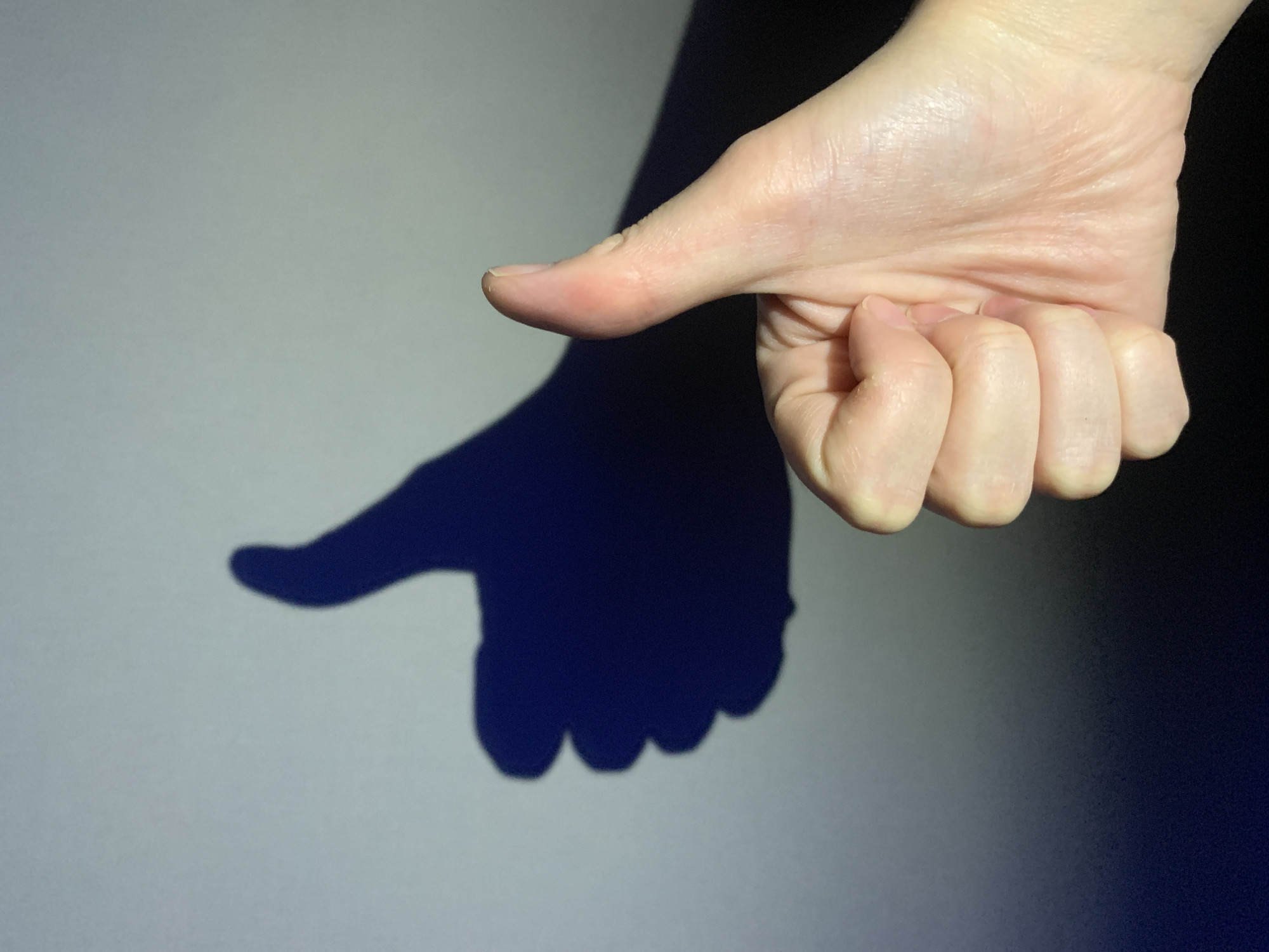 The image displays a close-up of a human hand and its prominent shadow against a light-colored, possibly grey, background. The hand is positioned on the right side of the frame, with the thumb extended outwards towards the left and the other fingers curled into a loose fist. The skin of the hand appears fair-toned, showing subtle wrinkles on the knuckles and palm, and short, natural fingernails.
A strong, directional light source, likely from the upper left, casts a distinct, dark blue-grey shadow of the hand onto the background surface. This shadow mimics the gesture of the hand, appearing like a "thumbs down" or pointing gesture, situated below and to the left of the actual hand. The background itself transitions from a lighter shade of grey on the left to a darker, almost black, tone on the right, indicating varying light conditions or a corner in the setting.
The scene suggests an indoor environment, given the controlled lighting and uniform background. There are no other visible subjects, objects, or text in the image. The activity depicted is a posed hand gesture, primarily for the effect of its shadow. The location context provided is Chaikovsky, Russia, though no specific visual cues within the image confirm this.