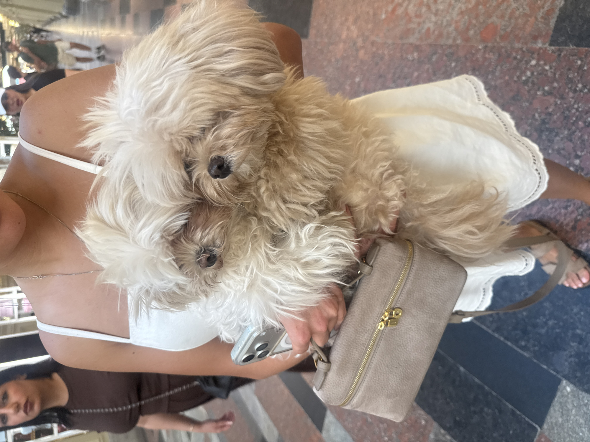 An outdoor scene shows a person holding a small, fluffy light-colored dog. The person is wearing a white dress and holding a light brown purse with gold hardware and a dark strap. They are also holding a silver cellphone. In the background, another person in a brown dress is visible, and further back, two people are walking away from the camera, one wearing a white baseball cap and the other a green shirt. The ground appears to be paved with a mosaic-like pattern of dark and light stones, and a reddish-brown tiled area is visible in the distance. The overall impression is that of a busy urban environment, possibly a shopping street or walkway.