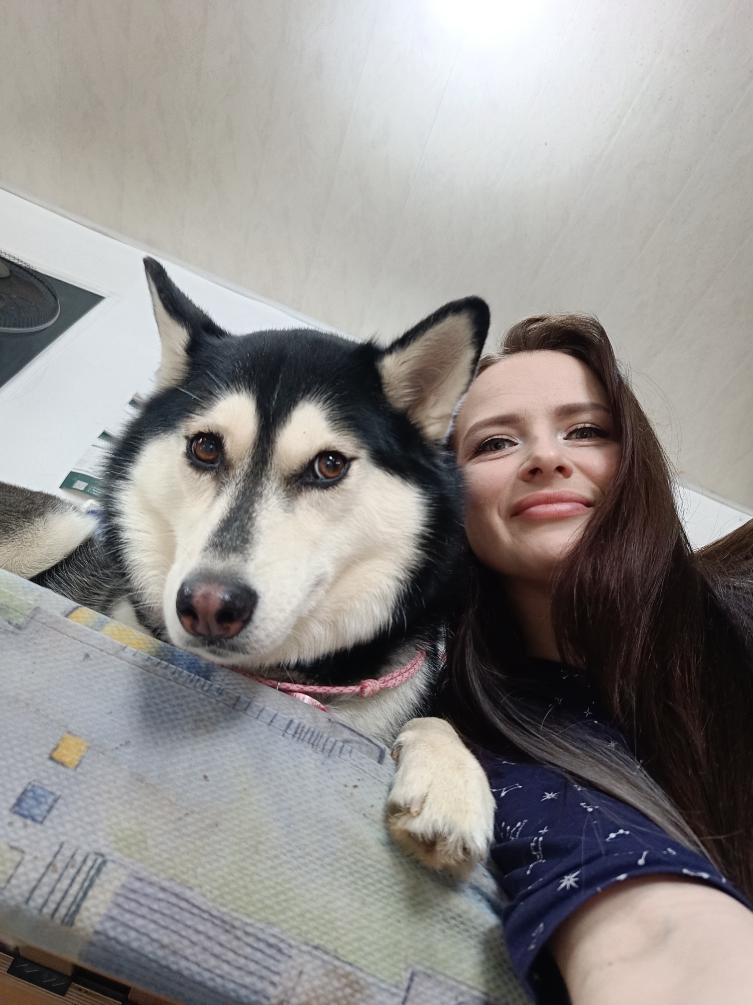 A close-up, low-angle selfie captures a young woman and a husky dog indoors, likely in Rusalevka, Russia. The woman, positioned on the right side of the frame, has long dark hair and is smiling warmly, looking directly at the camera. She wears a dark blue top with light, abstract patterns.
Beside her, filling the left and central part of the image, is a black and white husky with striking brown eyes and a pink collar. The dog rests its head on a piece of furniture, and one of its light-colored paws is visible on the woman's arm. Its expression is alert and calm, gazing towards the camera.
The immediate foreground features the upholstery of a sofa or chair, which is light blue and grey with various square and striped patterns. In the background, a plain, light-colored wall or ceiling is visible, with a portion of a black fan partially seen on the far left. The scene evokes a sense of affectionate companionship in a casual, intimate setting. The time of day is not discernible, and no specific weather cues are present. There is no visible text in the image.