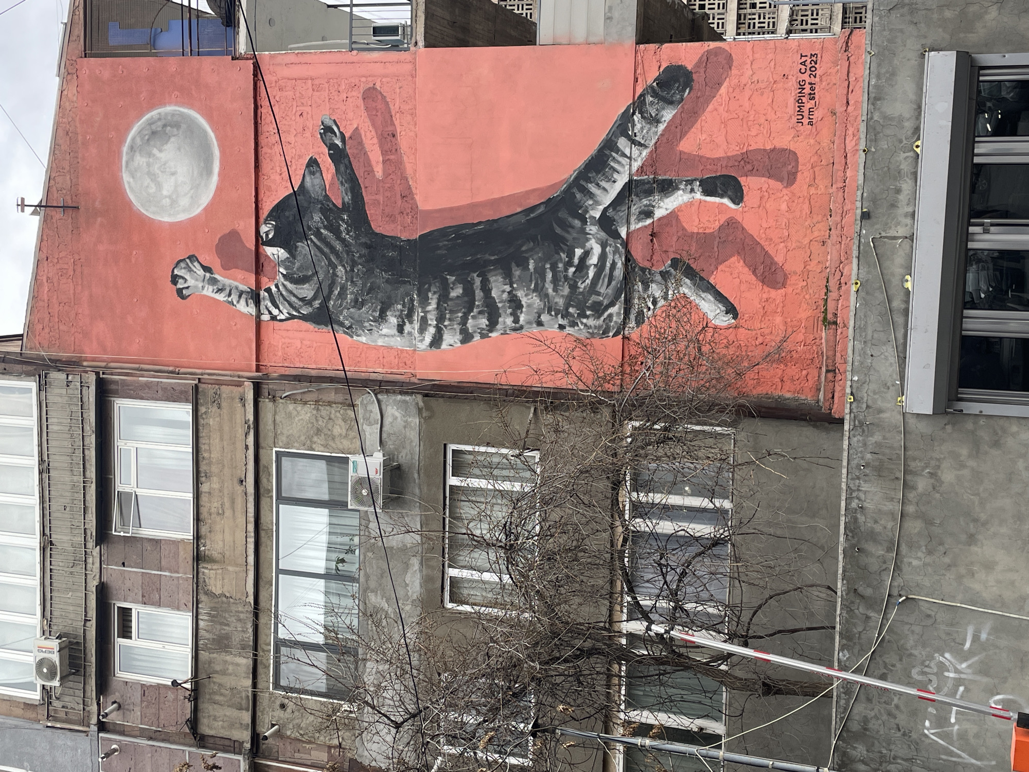 The image shows a building in Yerevan, Armenia, with a mural of a jumping cat. The mural depicts a large grey and white striped cat leaping toward a moon against a coral-colored wall. The mural is labeled "JUMPING CAT arm_stef 2023." The building itself is multi-storied, with a variety of window styles and air conditioning units visible on its facade. A bare tree branch partially obscures the building's mid-section. The sky is overcast. There are metal bars, wires, and graffiti also visible on the building’s facade.