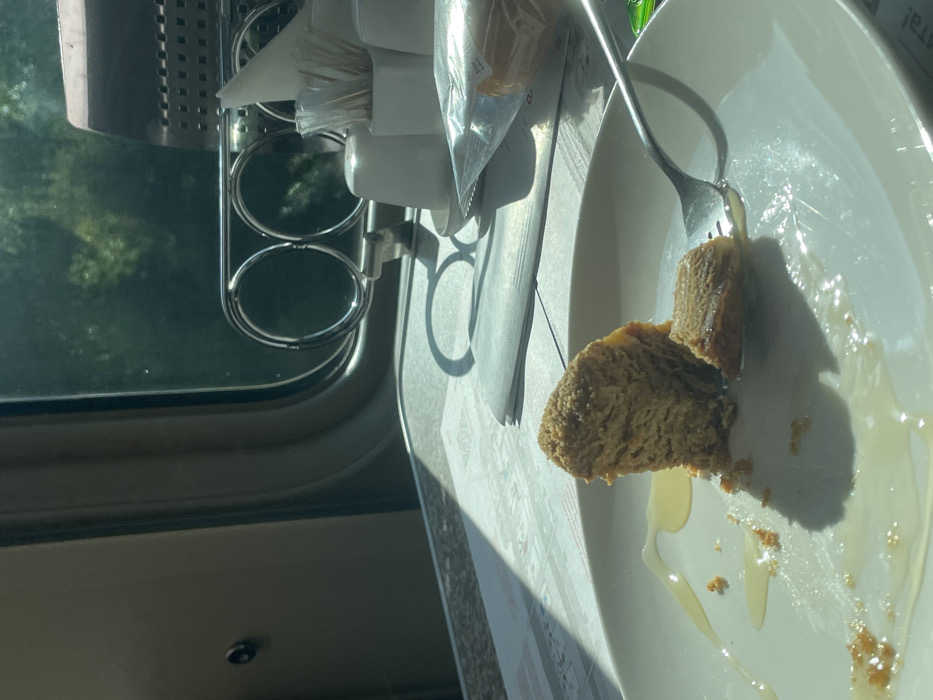 A white plate on a patterned placemat holds the remains of a dessert, possibly honey cake, partially consumed with a fork. A dollop of honey sauce surrounds the cake. A stainless-steel utensil holder containing napkins, salt and pepper shakers, and a packet is mounted next to a train window with greenery visible outside.