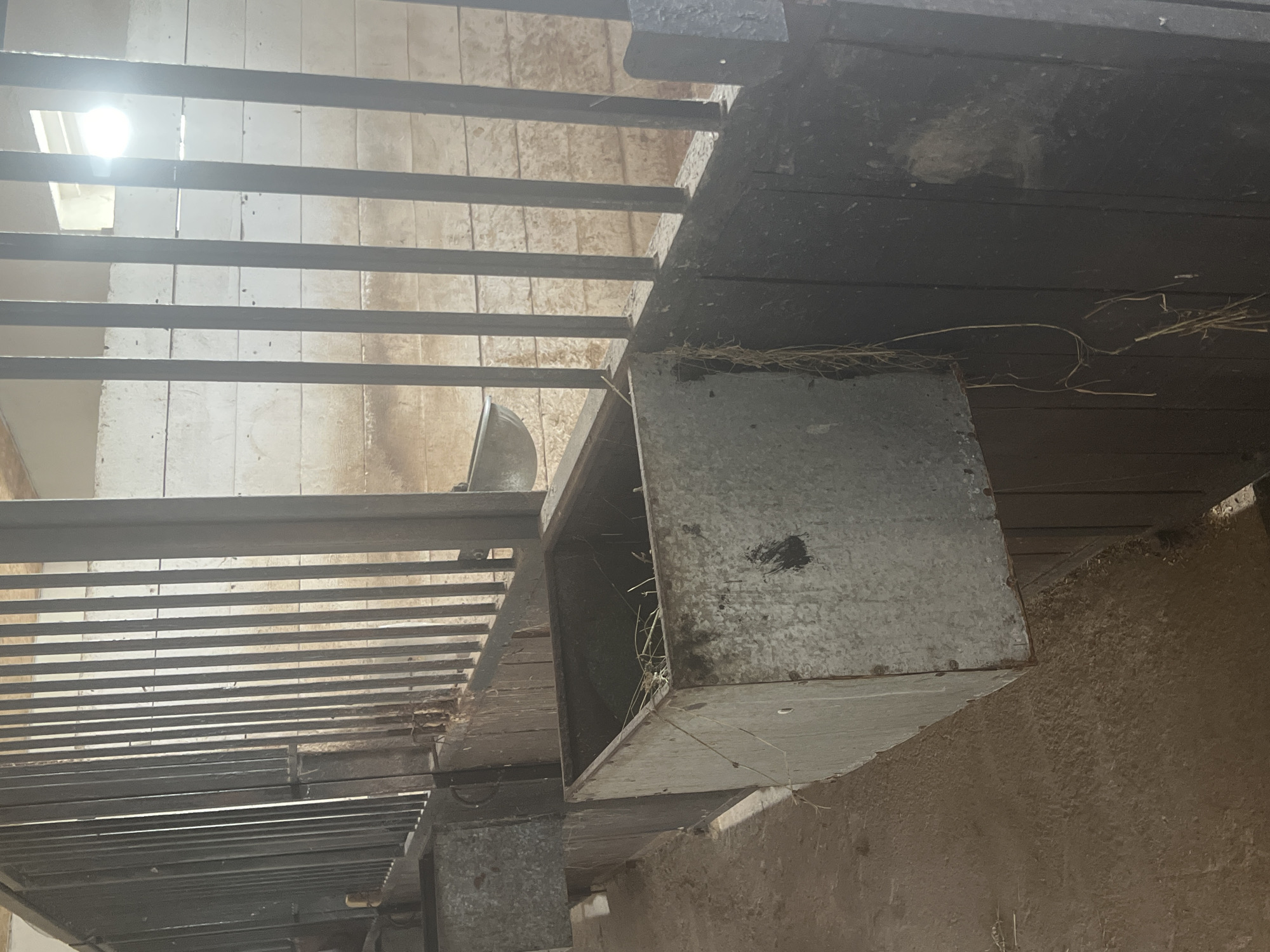 This is a photograph of a horse stall in Sorochinsk, Russia. The stall has wooden walls and metal bars. There is a galvanized metal trough attached to the wall, containing some dried grass. The trough is empty and appears to be used for feeding. The floor of the stall is covered in dirt and straw. There is a light source in the background, possibly a window or a light fixture, which is creating a glare.