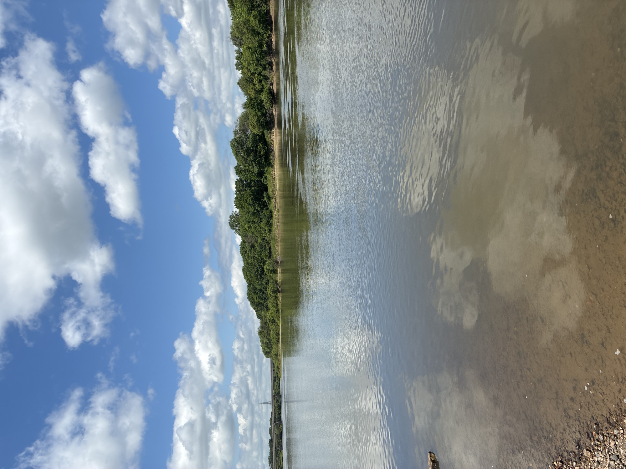 A wide, calm river flows through a wooded area. The water is reflective, showing the blue sky and fluffy white clouds above. On the far bank, a dense line of green trees forms a natural border. In the distance, a bridge crosses the river, with a tall transmission tower visible to its left. The foreground shows the shallow, sandy bottom of the river, with small stones and pebbles along the bank. The overall scene is one of natural tranquility under a bright, sunny sky. The image is a landscape photograph taken from a low angle, looking out over the water.