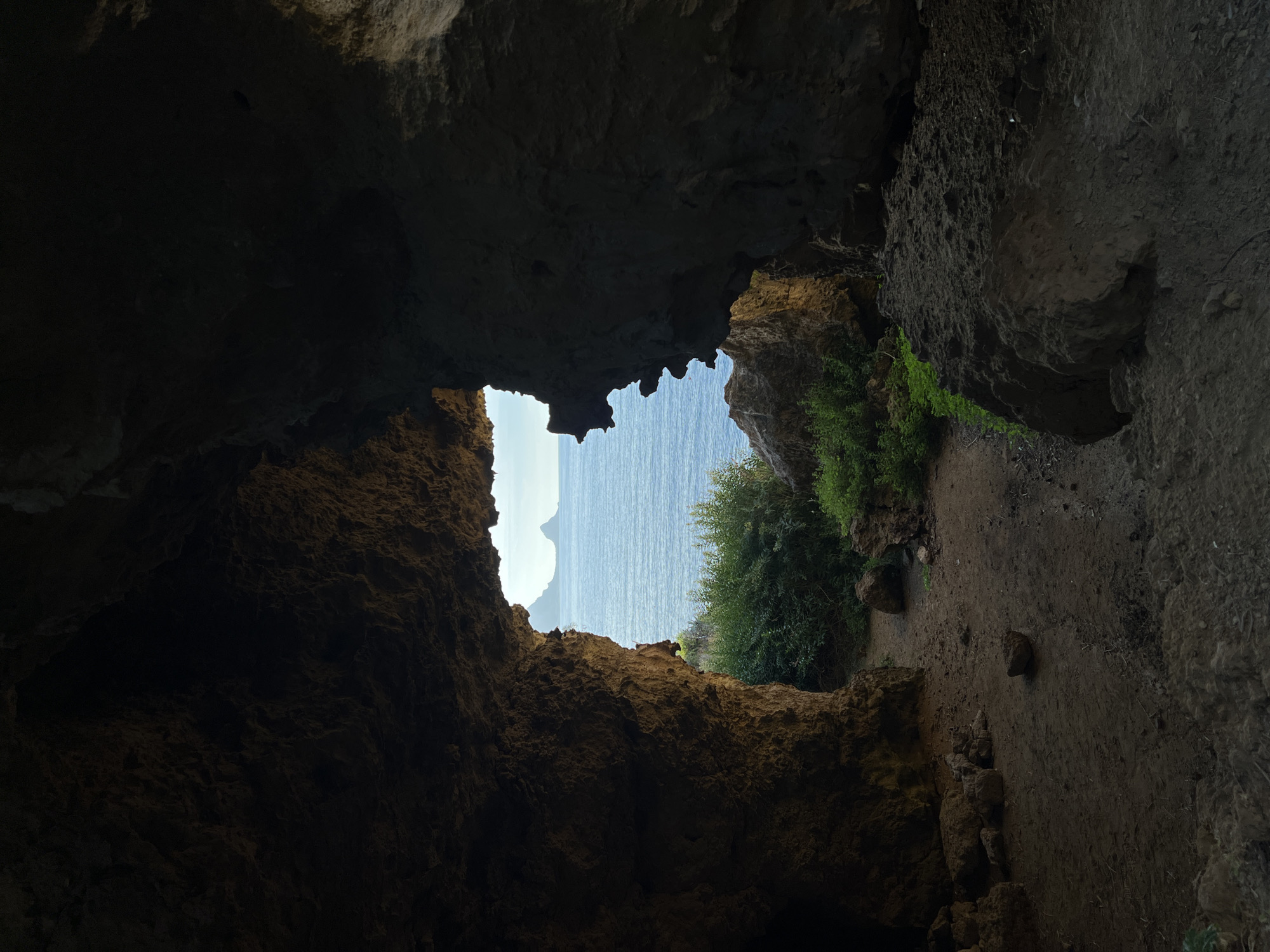 The image displays a forensic view from within a natural rock cave in Sperone, Italy, looking outwards towards the sea. The cave interior, occupying the majority of the frame, is largely shadowed, revealing rough, textured rock walls and ceiling. The ground inside the cave is composed of dark, uneven dirt with several scattered rocks. A substantial, irregularly shaped opening in the rock face frames the exterior environment.
Through this opening, a calm, deep blue body of water is visible under a bright sky, extending to a distant horizon. On the horizon, two distinct, light-colored mountainous landmasses or islands are silhouetted against the sky. Immediately outside and below the cave opening, a vibrant cluster of green bushes and leafy vegetation thrives on an elevated section of land. No human figures, animals, or man-made objects are present in the scene. The lighting emphasizes the stark contrast between the darkened, shadowed cave interior and the brightly illuminated exterior landscape.