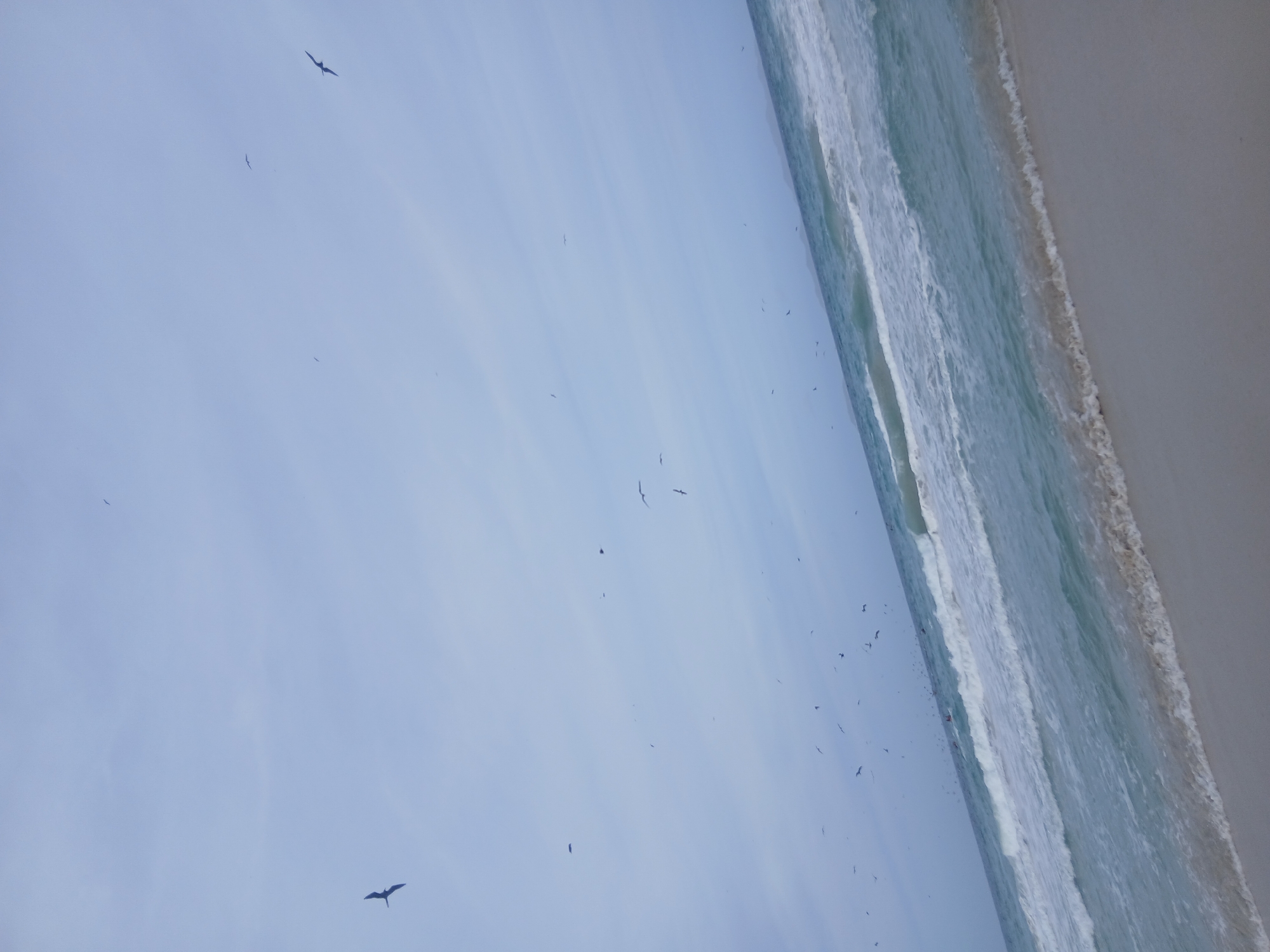 The image depicts a beach scene, likely Playa Parguito in Venezuela. The view is oriented with the sky occupying the left side and the beach and sea on the right. Several birds are scattered across the sky. The sea displays prominent waves edged with white foam. The beach is sandy, with a gradient of light to dark sand near the shoreline. The image is rotated counter-clockwise.