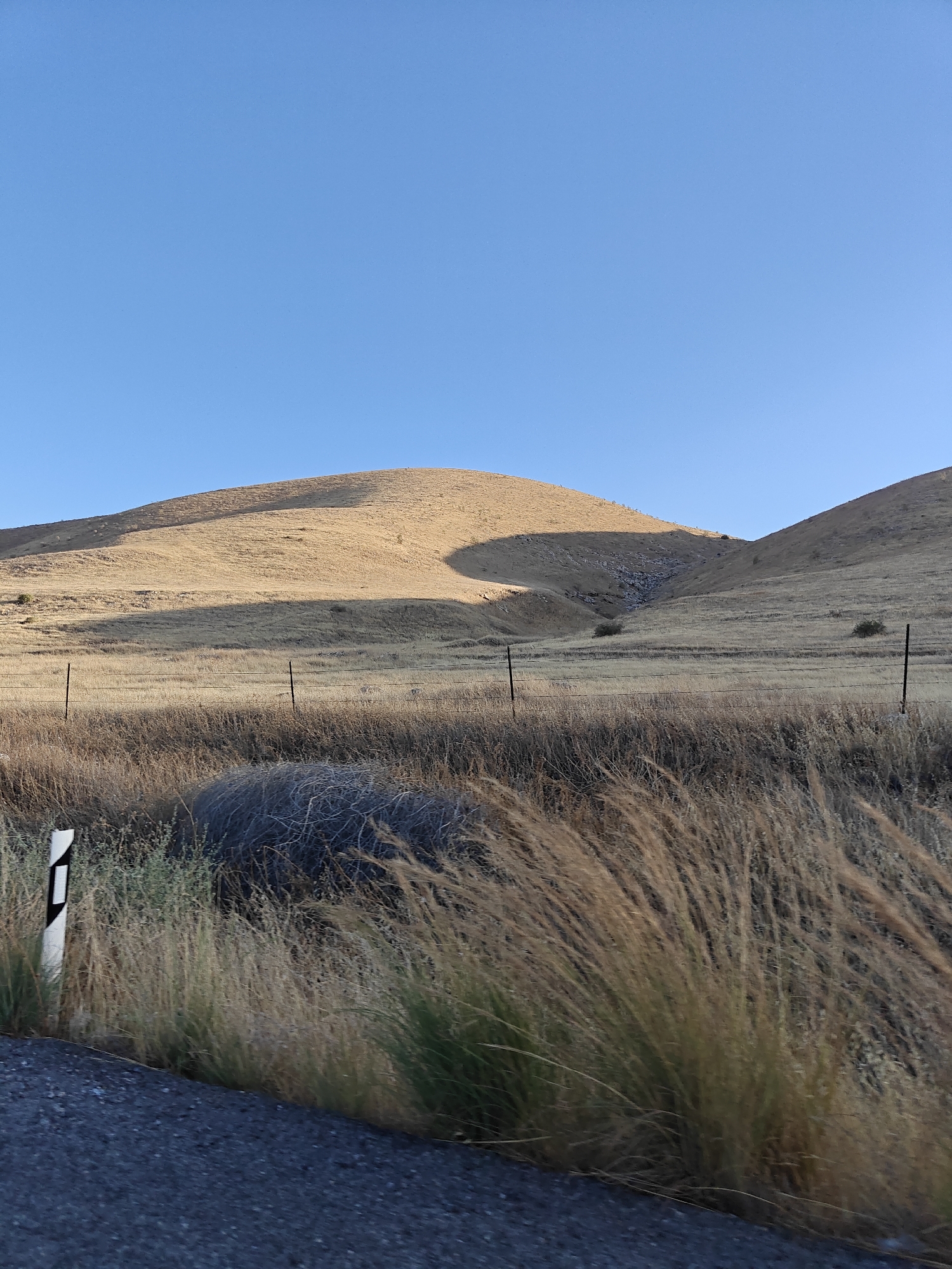 The image depicts a rural, arid landscape under a clear blue sky. The foreground is dominated by dry, tall grasses blowing in the wind, with a dark asphalt surface on the left. A white and black road marker is visible on the left edge. Beyond the grasses, a field of dry, light-brown vegetation stretches towards a gentle slope. A wire fence with dark posts runs horizontally across the middle ground. The background consists of rolling hills covered in similar dry vegetation. A prominent shadow falls across the face of one of the hills, indicating the direction of the sun. There are no people or animals visible in the scene. The environment appears to be dry and possibly experiencing a drought. The image does not contain any identifiable landmarks or features that would allow for specific localization within Al Jizah, Jordan, or any other city.