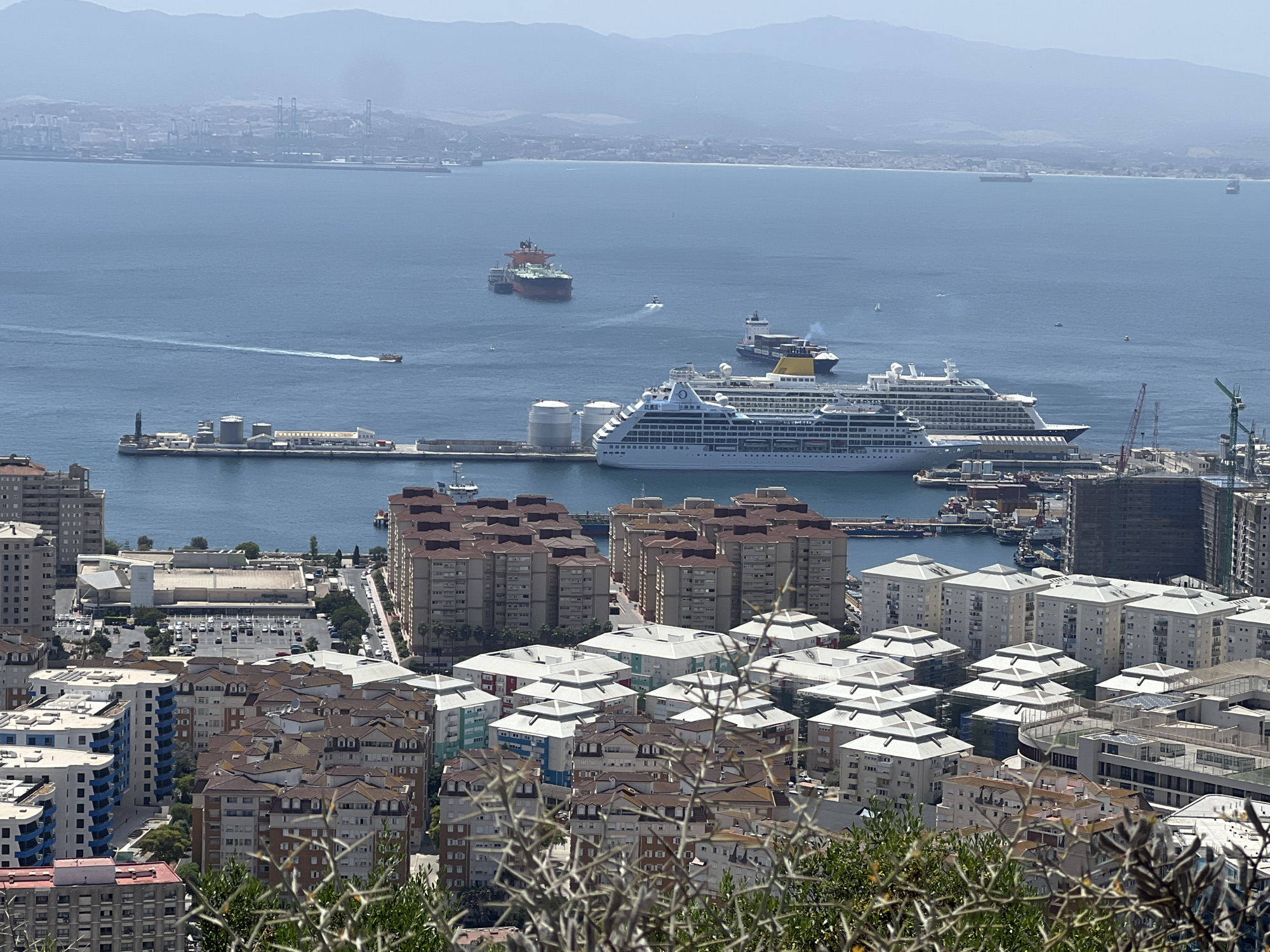 The image captures a high-angle view of a coastal city, identifiable as Gibraltar due to the presence of the Rock of Gibraltar in the background and the iconic cruise ships often seen docked there. In the foreground, a dense cluster of residential buildings with terracotta-tiled roofs and white, gray, and blue facades dominates the scene. These buildings vary in height and architectural style, with some featuring distinct stepped roofs.
Further back, a large body of water, likely the Bay of Gibraltar, is visible. Several large vessels are present, including at least two prominent cruise ships, one white and one with yellow accents, docked at a pier. Other ships, including cargo ships and a red and green vessel, are dispersed in the bay. A long pier or breakwater with industrial structures and cranes extends into the water. In the far distance, a hazy coastline with mountainous terrain and distant port facilities is discernible under a clear sky. The overall scene depicts a bustling port city with significant maritime activity, set against a backdrop of natural landscape. No people are clearly visible.