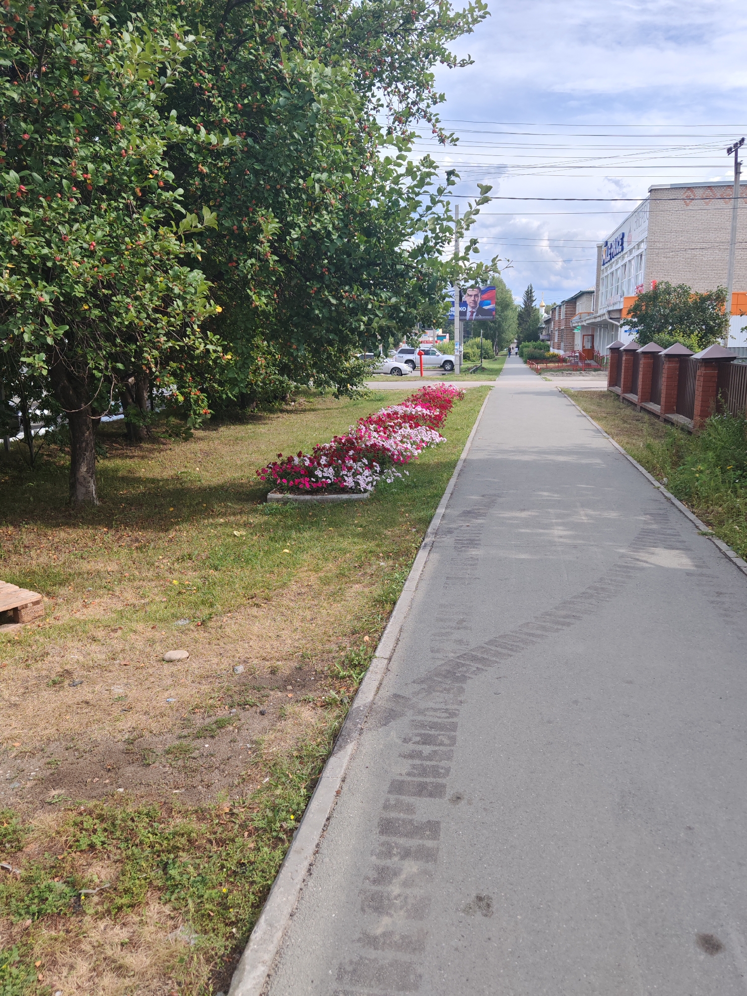 The image depicts a street scene in Ordynskoye, Russia. On the left, a row of trees with green leaves and small red fruits lines a grassy area. In front of the trees, a bed of colorful flowers, predominantly pink and white, is visible. A grey asphalt pedestrian walkway runs along the right side of the image. Tire tracks are imprinted on the walkway. Adjacent to the walkway, a brick fence with decorative caps encloses properties. Buildings with commercial signage, including one with "SBERBANK" in large letters, are visible in the background. A billboard featuring a man's portrait and Russian flags is also present. The sky is partly cloudy.