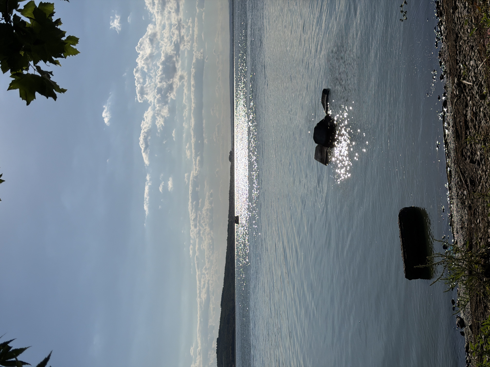 This image captures a serene view of the Black Sea in Burgas, Bulgaria, on a bright, partly cloudy day. The foreground features a rocky shore with scattered pebbles and a few small plants. In the water, closer to the shore, a dark, cylindrical object, possibly a piece of debris or a buoy, is partially submerged. Further out, a cluster of darker objects, also partially submerged, rests on the water's surface, reflecting the sunlight. A distant landmass, lined with trees, forms the horizon. The sun, positioned high in the sky, creates a shimmering effect on the water, with bright reflections scattered across its surface. Several fluffy white clouds are visible in the clear blue sky. The overall atmosphere is peaceful and natural.