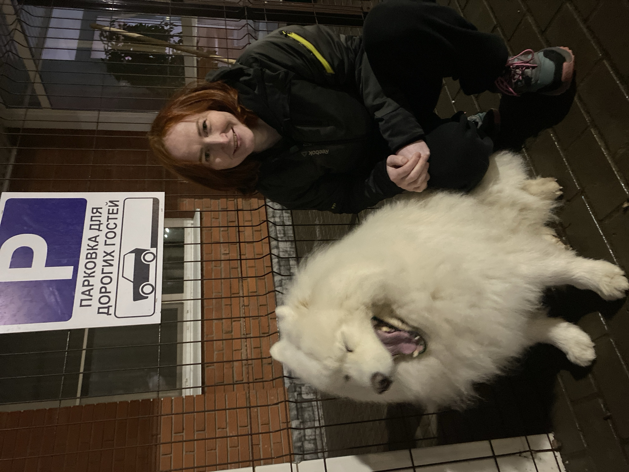 A woman with red hair is kneeling next to a large, white dog on a wet, paved surface, likely a sidewalk. The dog is lying down and has its mouth open. Both are adjacent to a metal fence in front of a brick building. A parking sign in Russian, translated as "Parking for dear guests", is attached to the fence. The location is Chaikovsky, Russia.