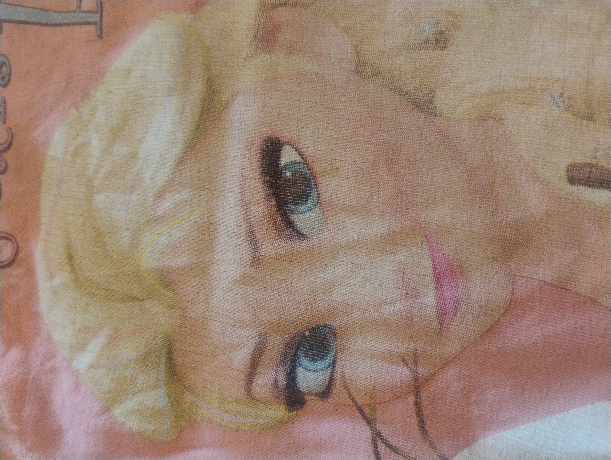 The image is a close-up shot of a t-shirt featuring a printed image of Elsa from Disney's Frozen. The t-shirt is a light pink and peach color, with Elsa's blonde hair and face prominently displayed. Her blue eyes, pink lips, and fair skin are visible. The print appears to be slightly faded and textured due to the fabric of the t-shirt. There are no discernible elements related to the city of Rumyantsevo, Bulgaria in the image.