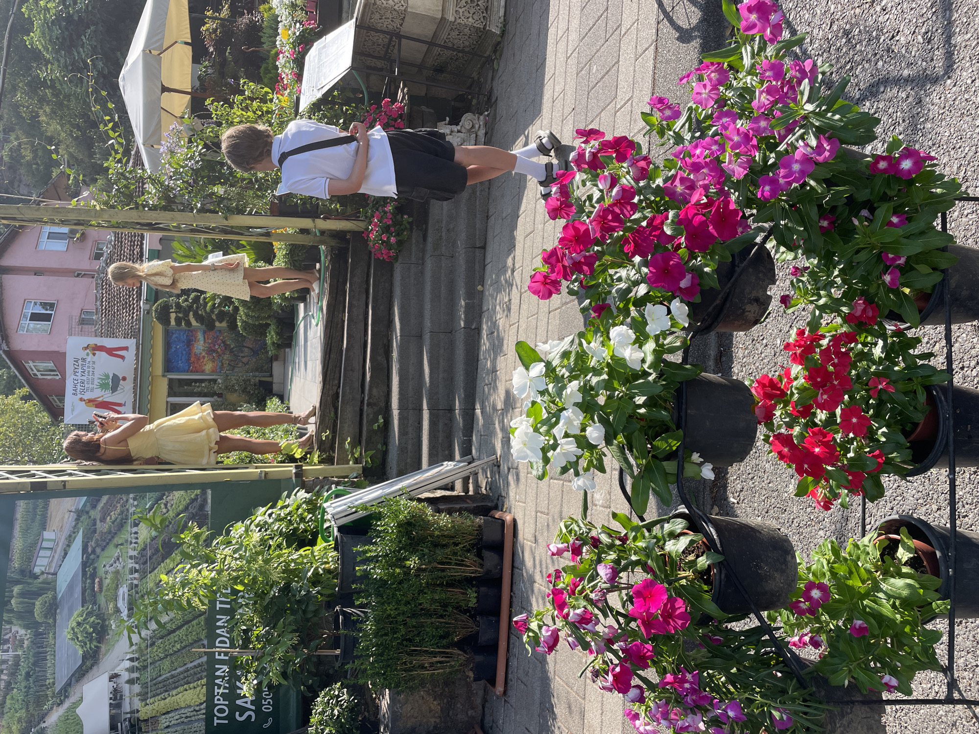 In Üsküdar, Turkey, a sunny outdoor scene unfolds at a garden center, with a focus on a paved walkway lined with potted flowering plants. The plants, predominantly vibrant pink, white, and red vinca flowers, are arranged in black pots on display racks.
To the left, a woman in a yellow dress stands on wooden stairs, holding a phone to take a picture. Further up the stairs, a young girl in a yellow dress is also looking at her phone. A young person in a white polo shirt and black shorts, wearing white socks and sandals, stands facing away from the camera, looking at a sign. Behind them, a white umbrella shades an outdoor seating area. A large green banner with Turkish text is visible in the background, along with a pink building and lush trees. The overall setting suggests a retail environment for plants and gardening supplies.