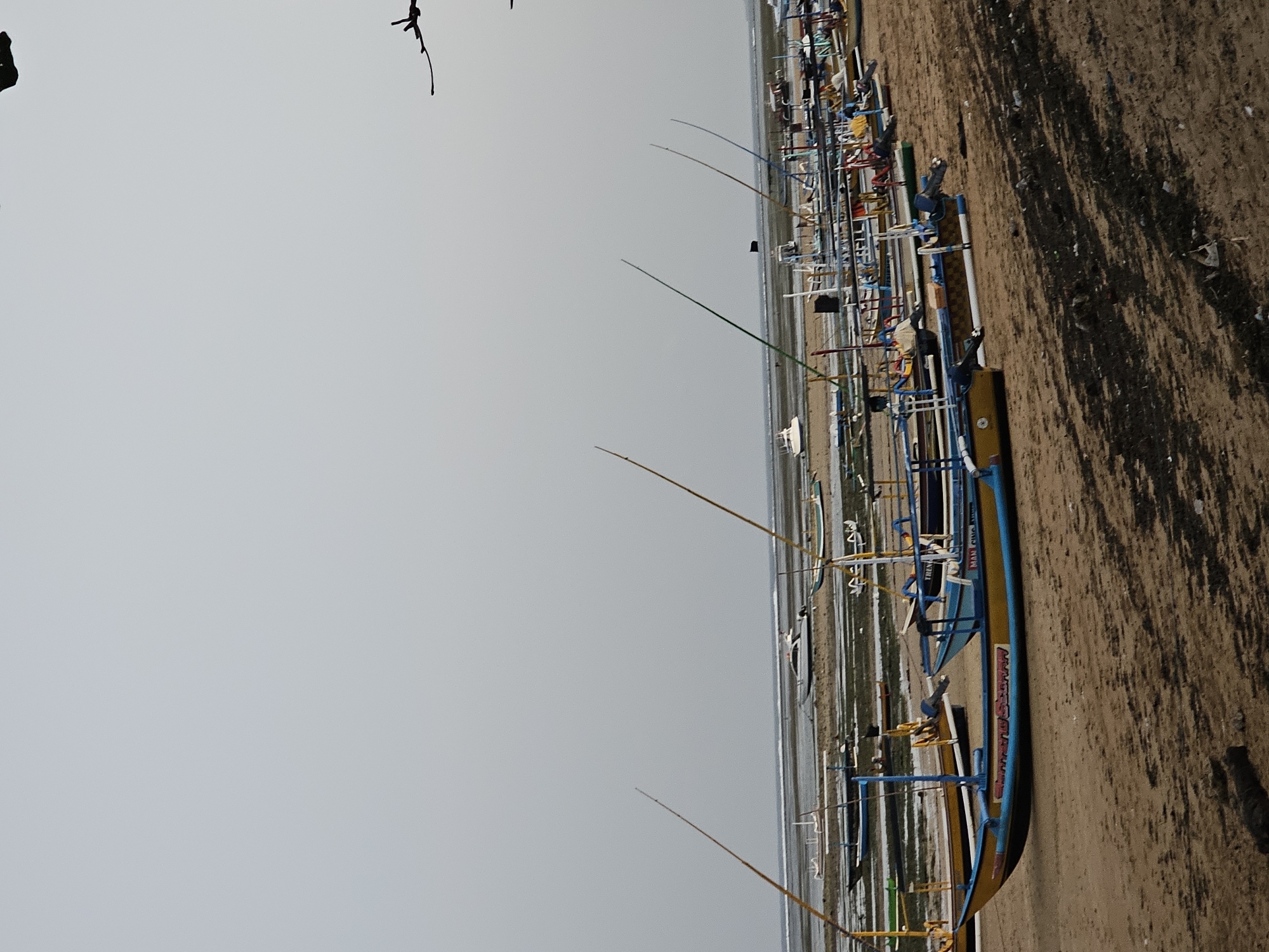 The image depicts a beach scene in Denpasar, Indonesia, characterized by numerous traditional Indonesian jukung boats lined up on the sandy shore. The boats are of various colors, predominantly blue and yellow, with some featuring red and green accents. Many of these boats are equipped with outriggers and tall poles. In the background, the sea is visible with gentle waves breaking on the shore, and other boats, including a larger white speed boat, are anchored or moored. The sky is overcast and a light gray. The foreground is dominated by the sandy beach, which appears somewhat littered with dark debris, possibly seaweed or other natural detritus. There are no visible people in the image, and the overall impression is one of a quiet, possibly early morning or late afternoon scene at a coastal location.