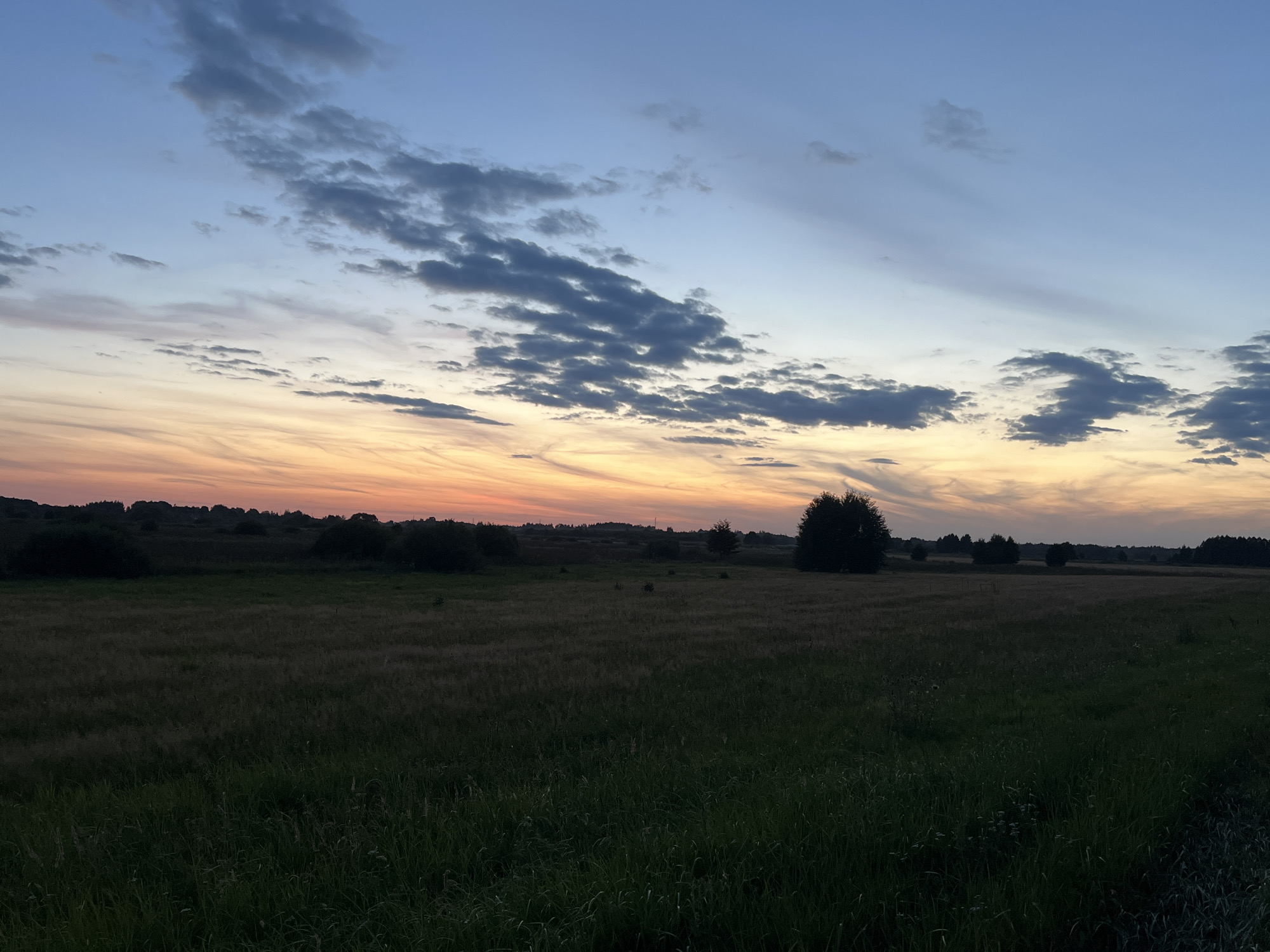 This is a photograph of a rural landscape at dusk. The sky is a gradient of colors, transitioning from a deep blue at the top to hues of orange and pink near the horizon, indicating the setting or rising sun. Wispy clouds are scattered across the sky. The foreground consists of a field, likely with dry grass and vegetation, and some darker green grass closer to the viewer. In the middle ground, there are scattered trees and shrubs, and a distant treeline marks the horizon. The scene appears to be located in the vicinity of Рудзенскі сельскі Савет, Belarus, given the typical rural scenery of the region. There are no people, animals, or specific man-made structures clearly visible in the image. The overall mood is serene and natural.