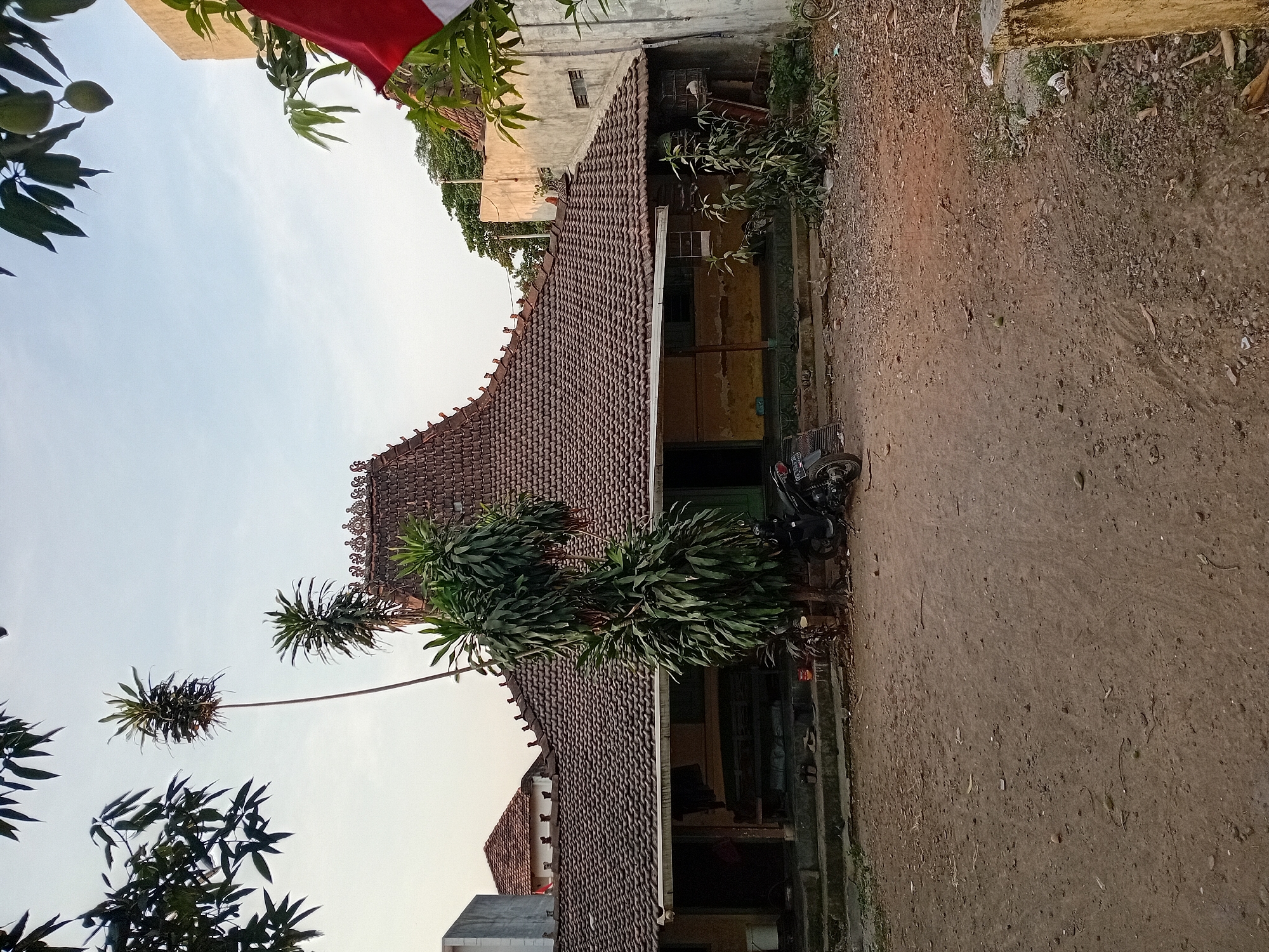 The image depicts a traditional Javanese house in Bae, Indonesia, under a clear, pale sky. The house features a prominent, steeply pitched tiled roof with intricate decorative elements along its crest. A covered porch with yellow-painted walls runs along the front of the house, supported by wooden posts. In front of the porch, there are steps leading down to a dirt yard.
A tall, slender tree with distinctive spiky foliage stands to the left of the house, and another, bushier green plant is positioned to its right, near the front. A black motorcycle is parked on the dirt in front of the porch. To the right of the house, a partially visible wall and some greenery are present, with a corner of the Indonesian flag (red and white) visible in the upper right portion of the frame. The yard is composed of rough dirt and scattered debris. The overall impression is of a rural or semi-rural residential setting.