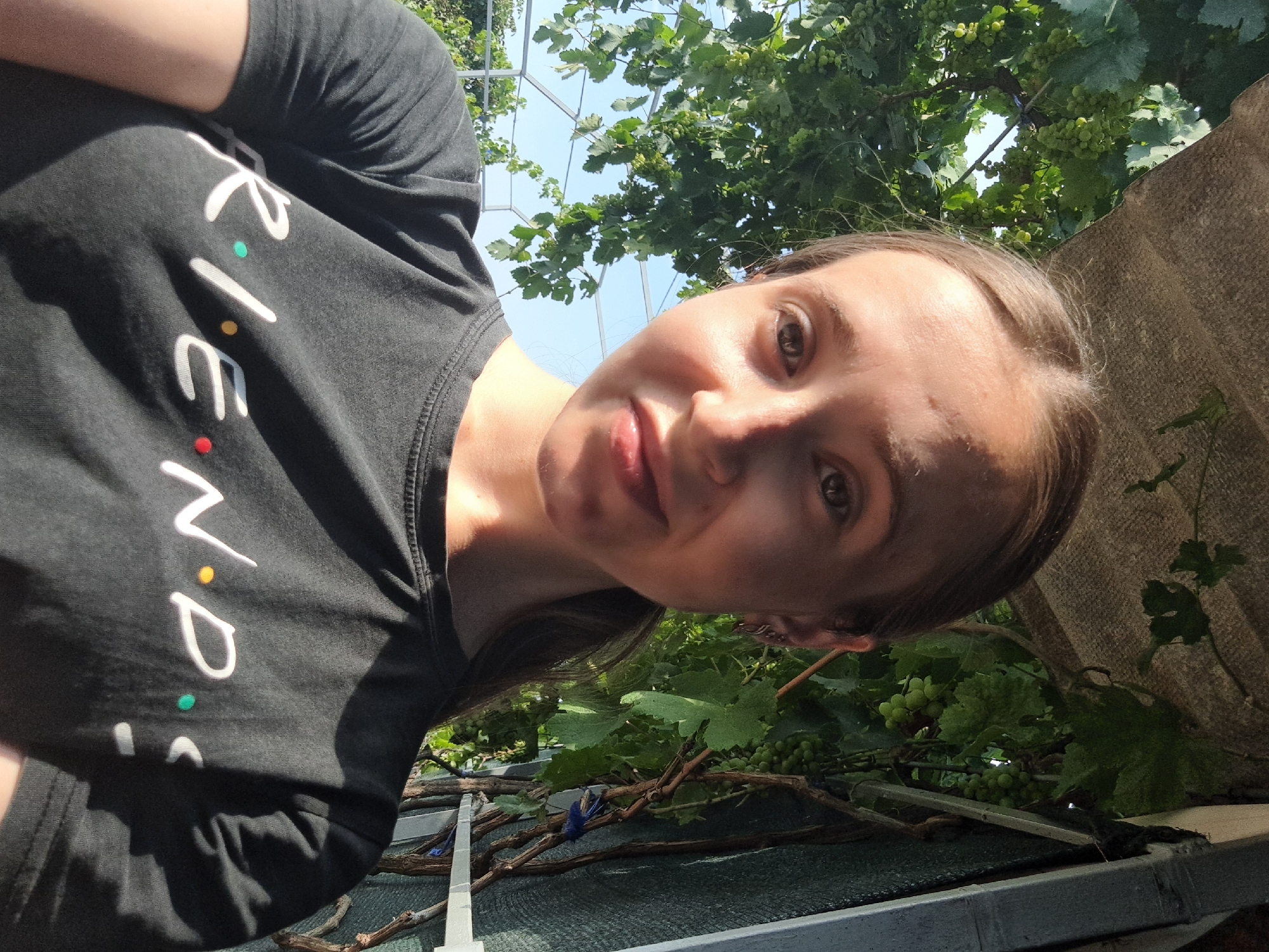 A young woman, likely in her late teens or early twenties, takes a selfie outdoors. She has light brown hair pulled back into a ponytail and is wearing a black t-shirt with the word "FRIENDS" printed in white with colorful dots. She is standing in what appears to be a backyard or garden area, with lush green grapevines and clusters of green grapes hanging from an overhead structure. The background shows bright blue sky and further greenery. The lighting suggests it is daytime, with sunlight casting shadows on her face and shirt. The overall impression is of a casual, relaxed moment captured on a sunny day. Vypasne, Ukraine, is a village in the Odesa Raion of Odesa Oblast.