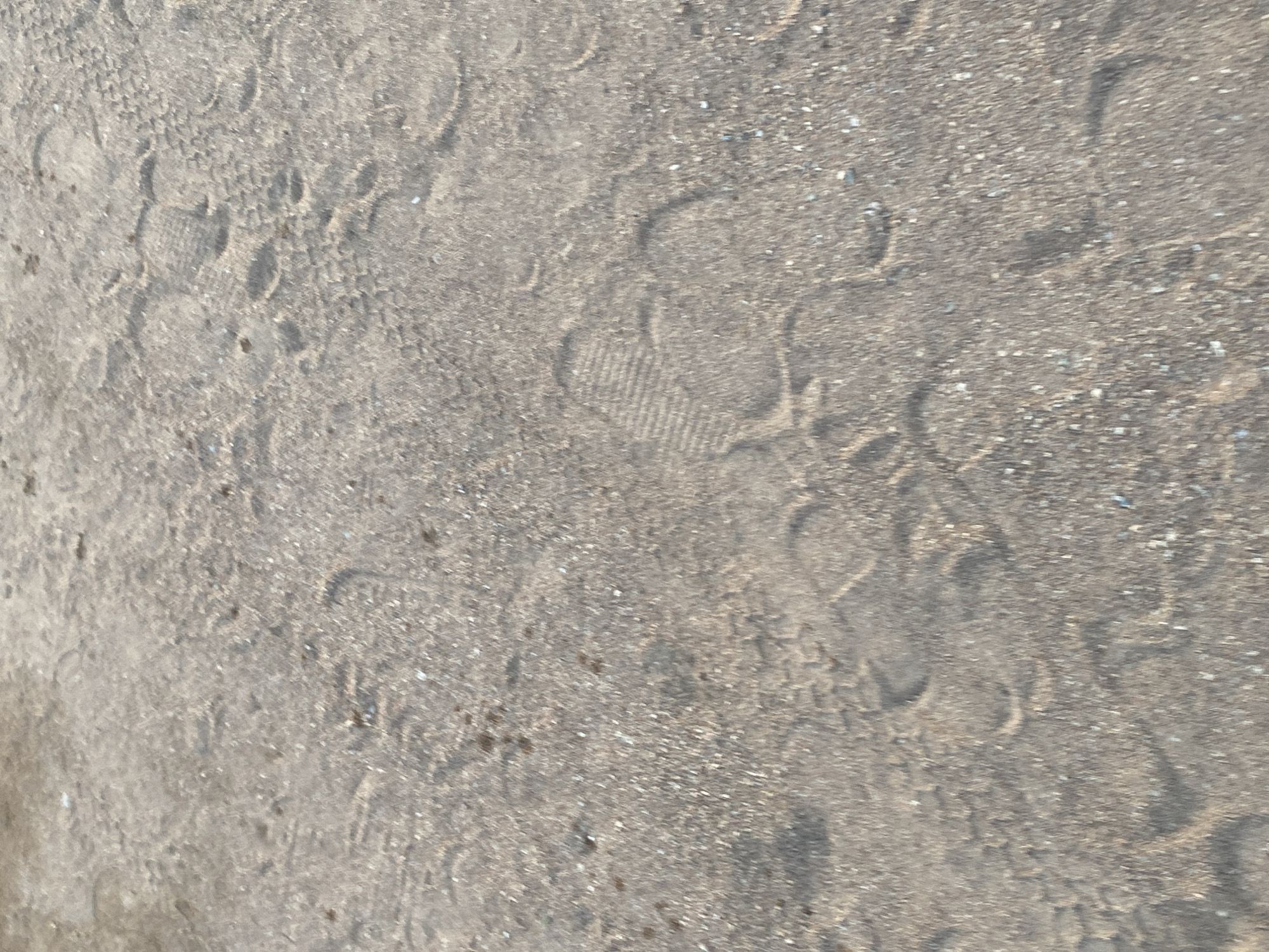 The image shows a patch of sandy ground with numerous footprints. The footprints are of various sizes and shapes, some appearing to be from shoes with distinct tread patterns, while others are more worn and indistinct. There are also some tire tracks visible in the sand. The ground is a light brown color and appears to be composed of fine grains of sand mixed with small pebbles and some darker specks, possibly dirt or organic matter. The lighting suggests it might be daytime, with shadows not being particularly pronounced, indicating either overcast conditions or a midday sun. The setting is a natural, outdoor environment, consistent with a beach, a dirt road, or a construction site. Given the description of Jauro Yinu, Nigeria, this could be a path or open area within the settlement or its surroundings. The image captures a moment in time, documenting the passage of people and vehicles over this sandy surface.