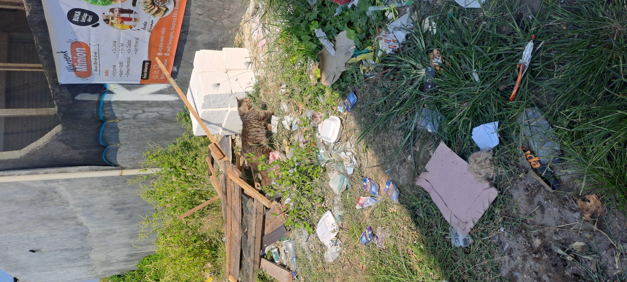 A tabby cat walks through an outdoor area littered with trash and debris. The cat is the main subject and is brown with black stripes. It is walking from right to left, facing away from the camera. The ground is covered with green grass, brown dirt, scattered pieces of wood, plastic containers, paper wrappers, and other unidentifiable garbage. In the background, there is a light-colored concrete wall, some green foliage, and a white banner with orange and yellow text that reads "Waroenk Minion". The banner also has images of food and drinks. The scene appears to be in an undeveloped or neglected area.