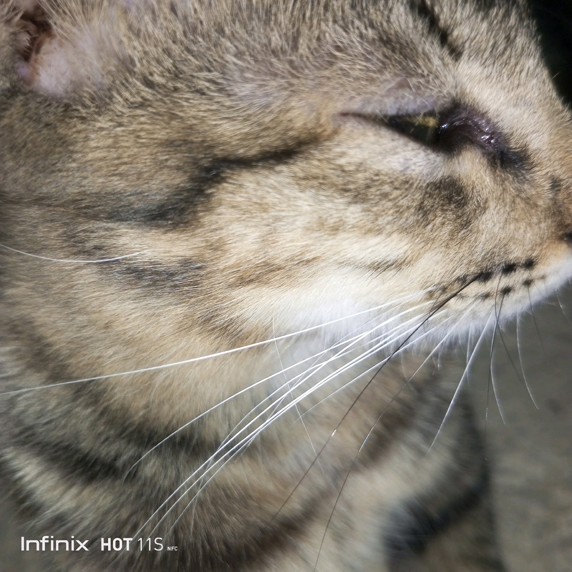 The image is a close-up, profile view of a tabby cat's face, focusing on its fur, whiskers, and eye. The cat's fur is a mix of brown, grey, and black stripes. Its whiskers are long and white, fanning out from its muzzle. The cat's eye is partially closed and appears to have some discoloration or irritation around the tear duct. The background is out of focus and appears to be a neutral, indoor environment. The bottom left corner of the image contains a watermark that reads "Infinix HOT 11S NFC". The image is not located in Sukaslamet, Indonesia.
