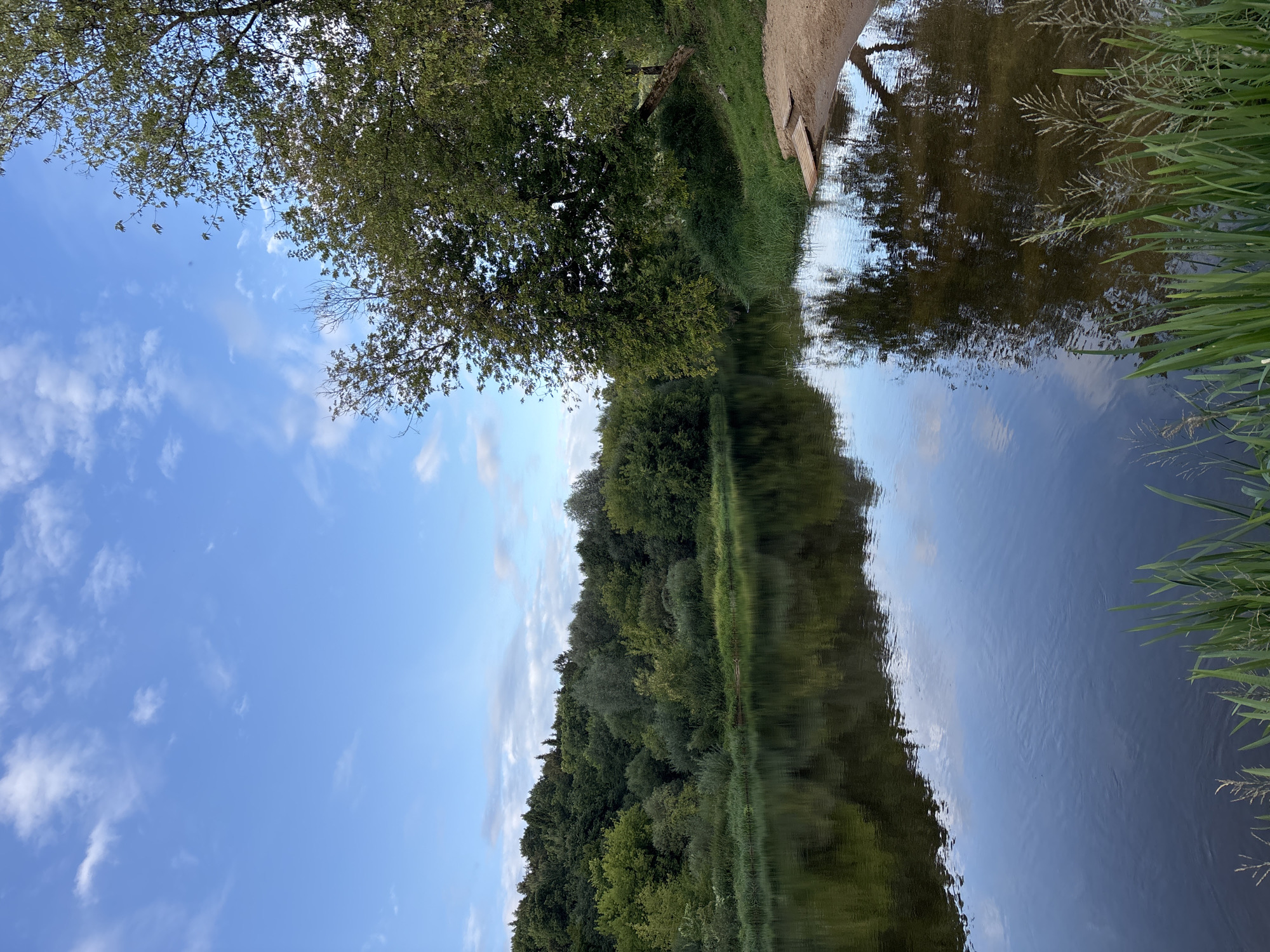 The image depicts a tranquil natural scene by a river, consistent with the landscape found in Zvenigorod, Russia. The foreground features tall green grass and reeds growing along the riverbank. The river itself occupies the majority of the lower half of the image, its surface smooth and reflective, mirroring the lush green trees and the pale blue sky dotted with scattered white clouds.
On the right bank, a sandy area is visible, with two wooden planks placed at the water's edge, suggesting a potential entry point into the river. A large tree with dense green foliage overhangs the bank. Across the river, a rolling hillside is densely covered with a variety of trees and bushes, creating a thick, verdant backdrop. The overall atmosphere is one of peaceful natural beauty, characteristic of areas like Zvenigorod, known for its picturesque natural surroundings and proximity to rivers.