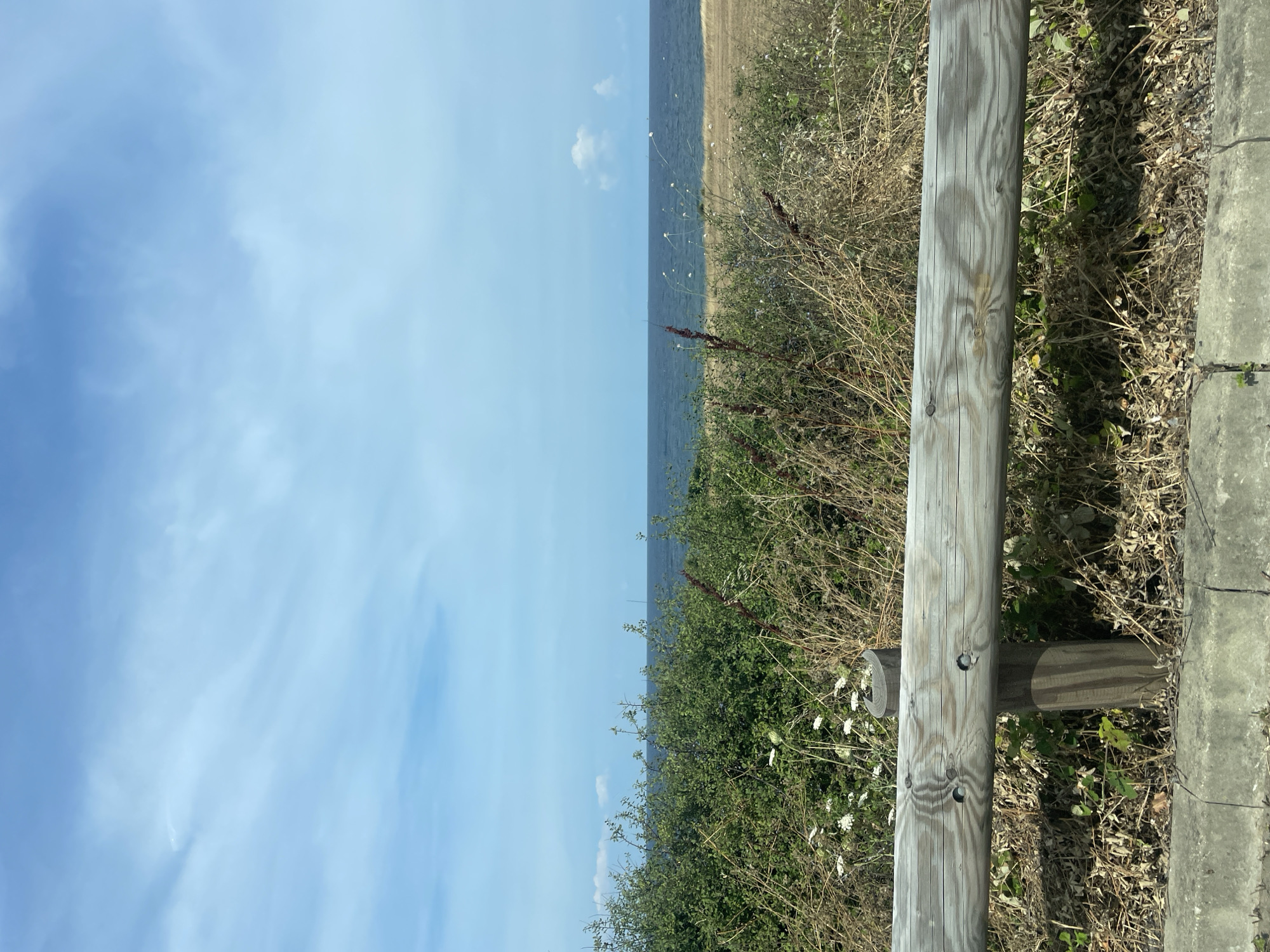 A wide shot captures a serene seascape with a wooden fence in the foreground. The fence, made of weathered gray logs, is supported by upright posts and runs horizontally across the lower portion of the frame. Beyond the fence, a dense patch of green bushes and dry grass with small white flowers is visible. Further back, the deep blue sea stretches to the horizon, meeting a light blue sky dotted with scattered white clouds. The scene appears to be a coastal area in or near the city of Varvara, Bulgaria.