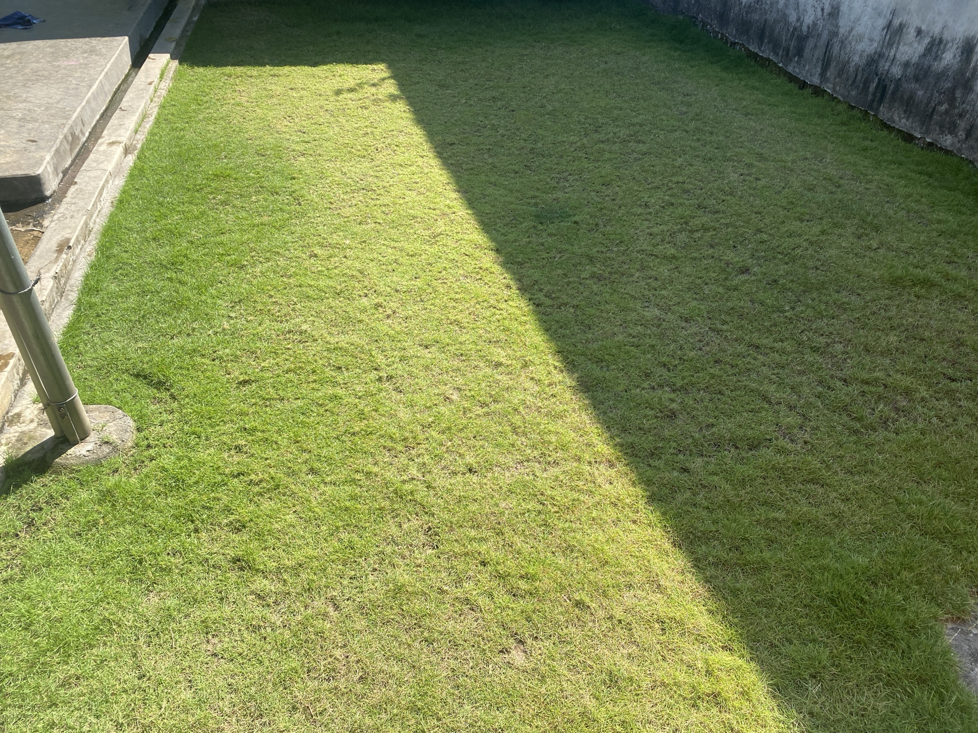 The image shows a well-maintained, green lawn in a city setting. The lawn is neatly mowed and appears to be in good condition. A concrete structure, possibly a building's foundation or a sidewalk, runs along the left side of the image. A metal pole is also visible, emerging from the ground near the concrete structure. The right side of the lawn is bordered by a weathered, concrete wall, which shows signs of age and possibly some staining. The scene is illuminated by sunlight, casting a distinct shadow across the lawn, dividing it into a sunlit area and a shaded area. There are no people or animals visible in the image. The environment suggests an outdoor space, likely a residential or public area. The location in Kotakulon, Indonesia, implies a tropical or subtropical climate, which would support the lush green appearance of the grass.