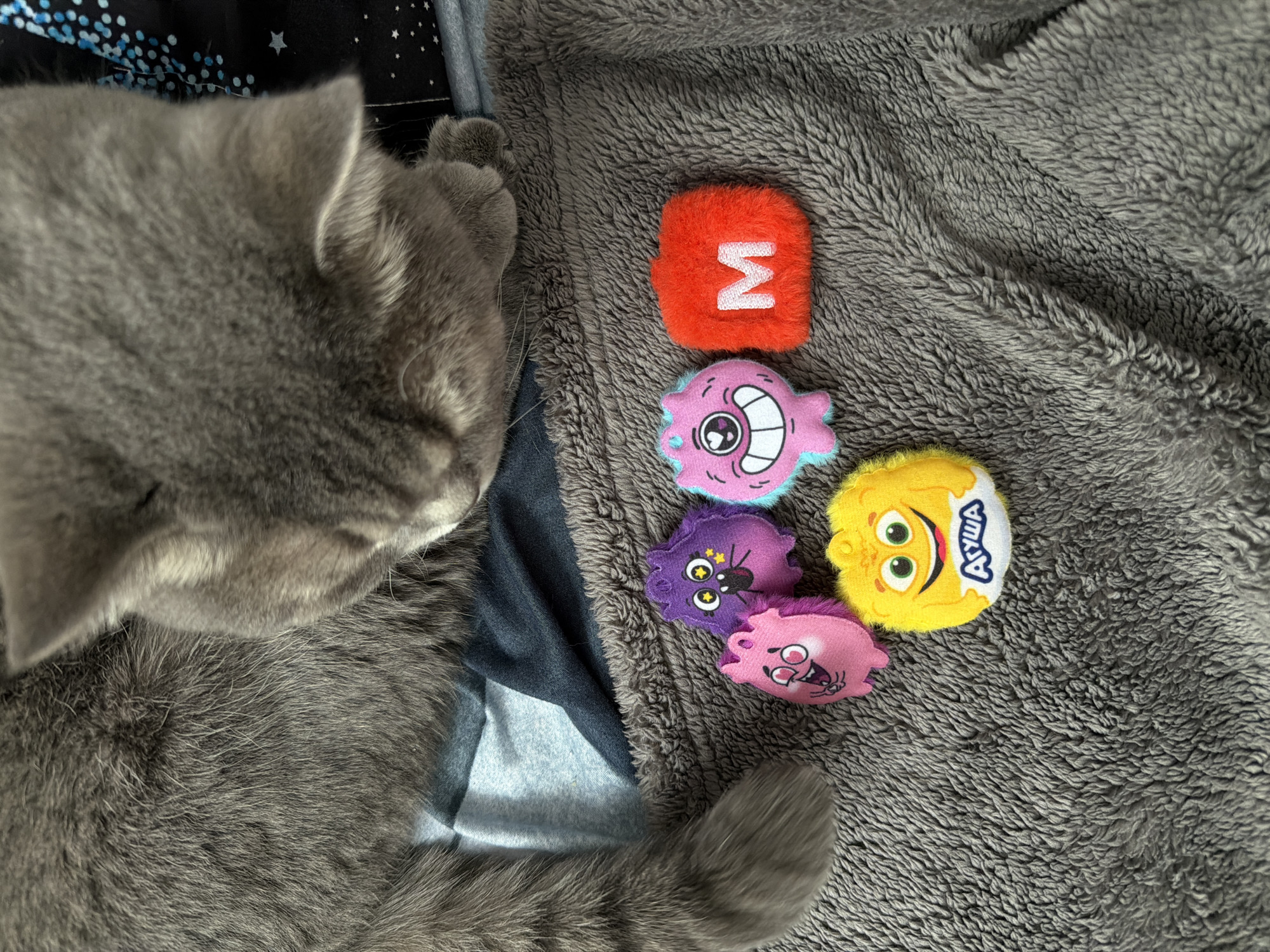 A gray shorthair cat sleeps on a gray, textured blanket next to a pile of five small, plush toys. The toys are arranged in a vertical row; the topmost toy is red with a white letter "M" on it. Below are other toys in purple, pink, yellow, and purple. A dark blue patterned blanket is also visible, partially covered by the cat. The setting appears to be indoors. There is no indication that this image was taken in Perm, Russia.